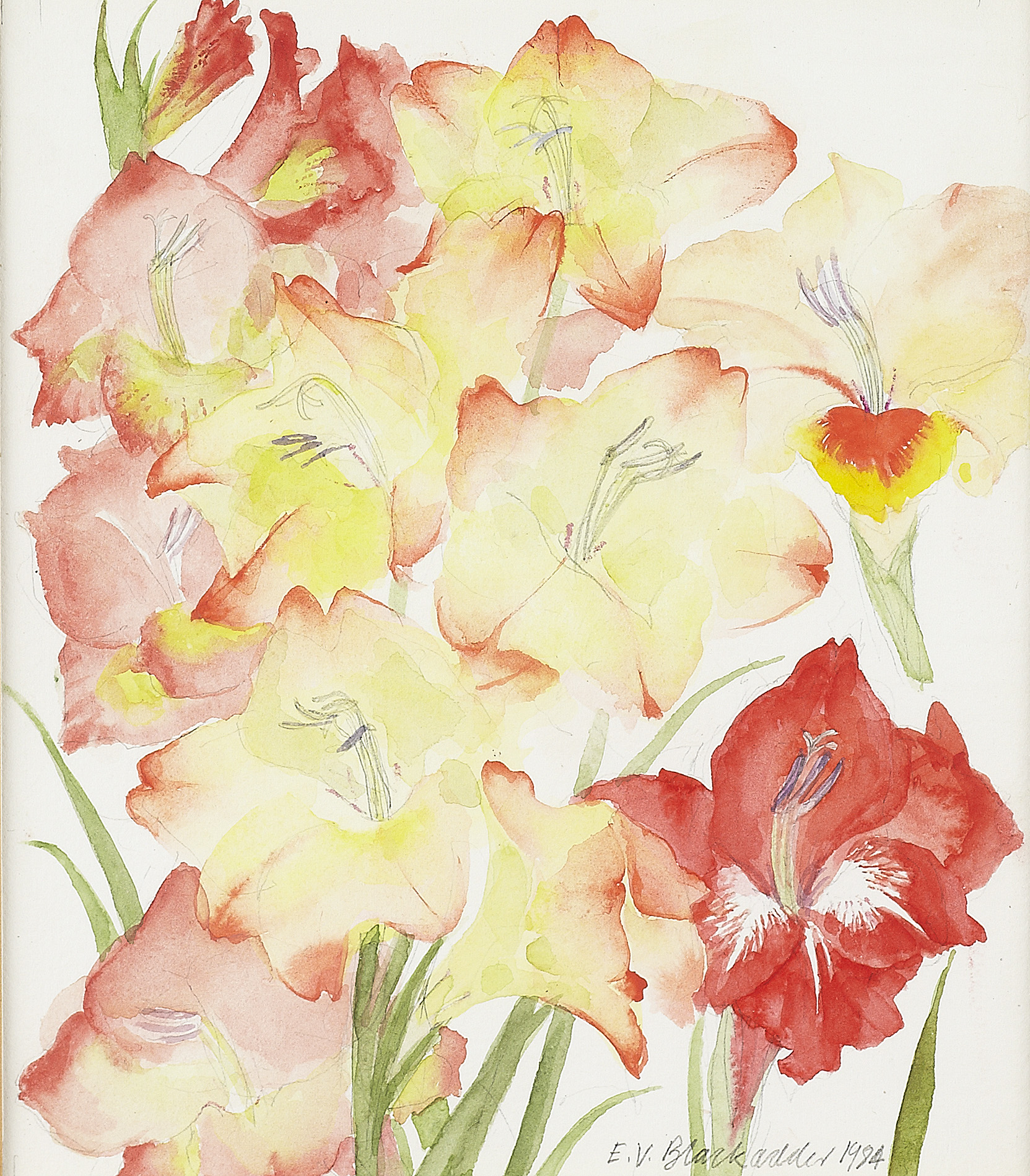 ELIZABETH BLACKADDER D.B.E., R.A., R.S.A., R.S.W., R.G.I., D.LITT. (SCOTTISH B.1931)