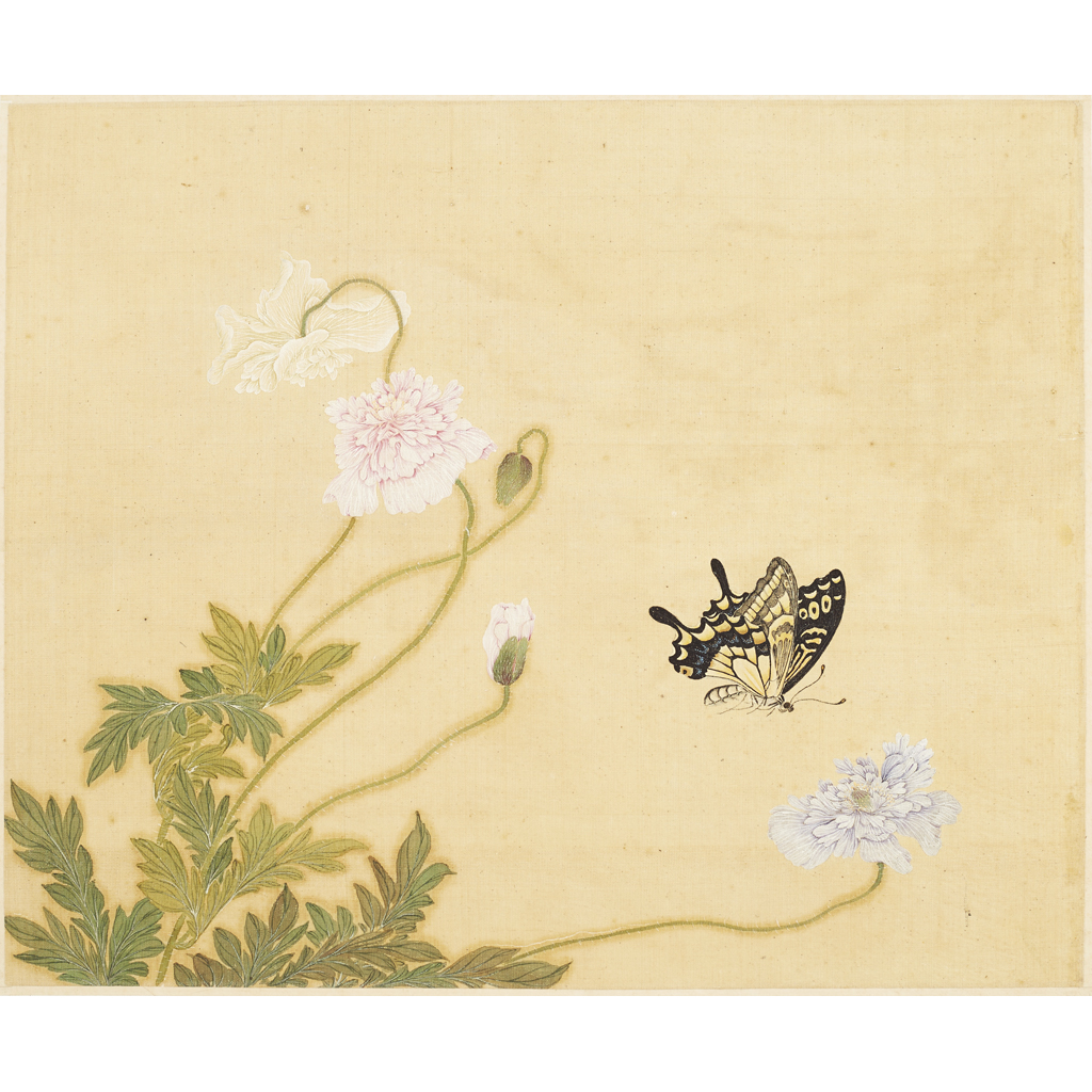 ALBUM OF TWELVE PAINTINGS OF INSECTS AND FLOWERS