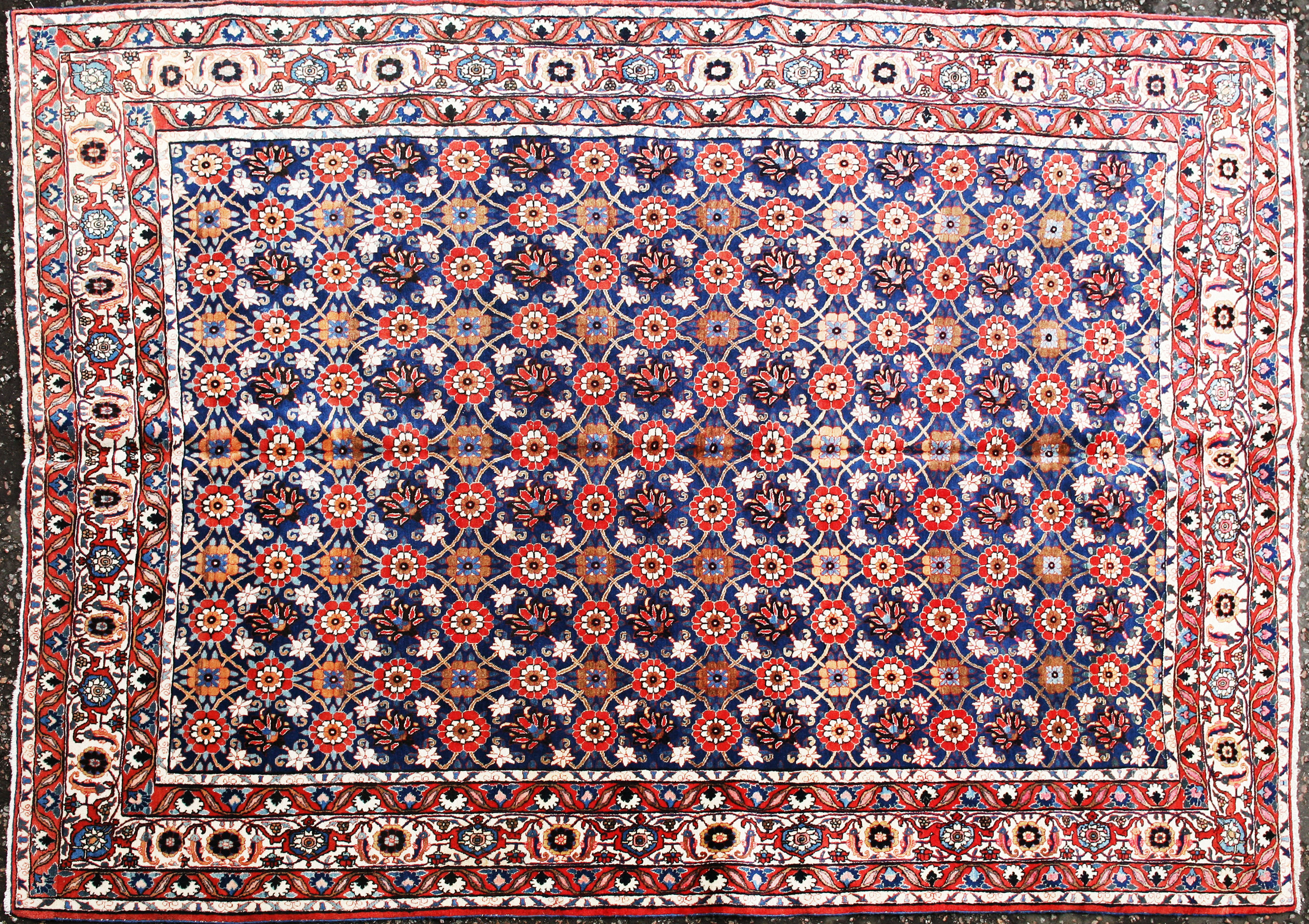 VERAMIN CARPET