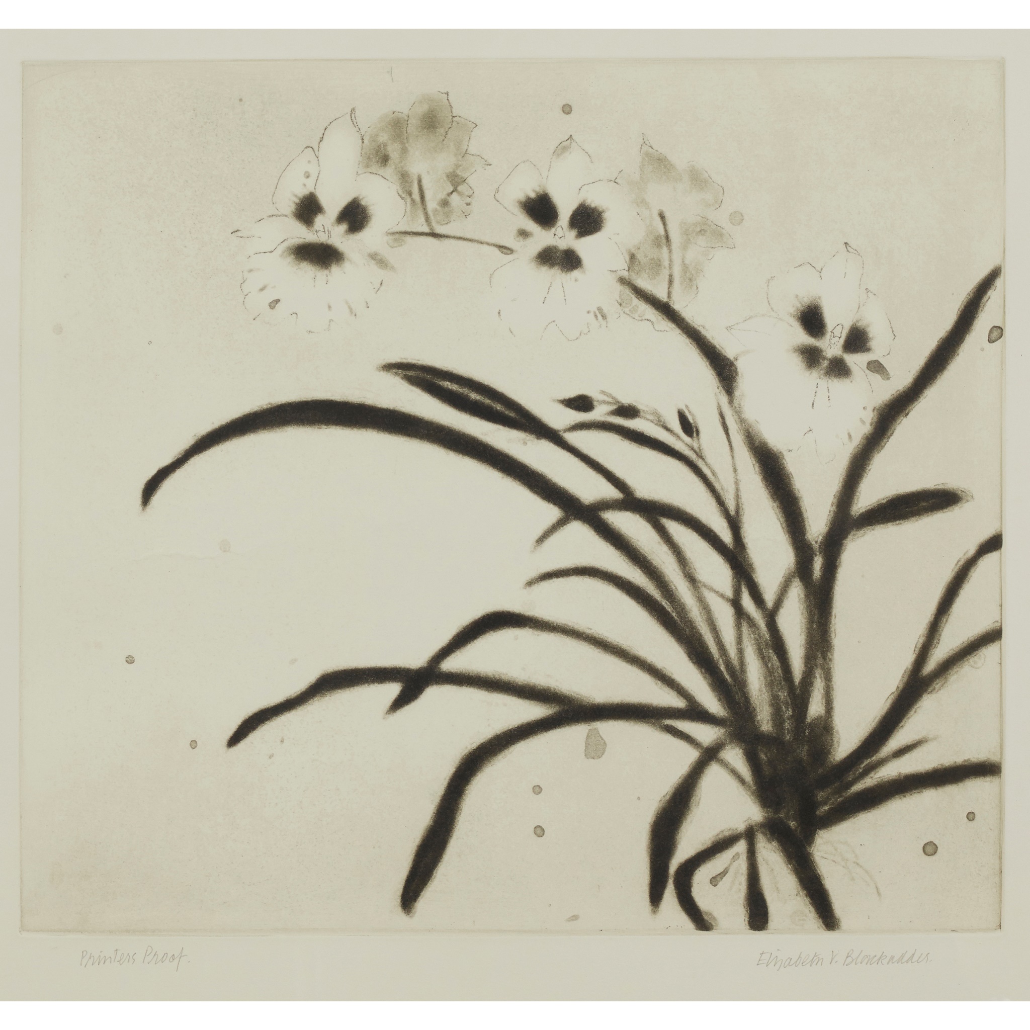 DAME ELIZABETH BLACKADDER O.B.E., R.A., R.S.A., R.S.W., R.G.I., D.Litt (SCOTTISH 1931-2021)