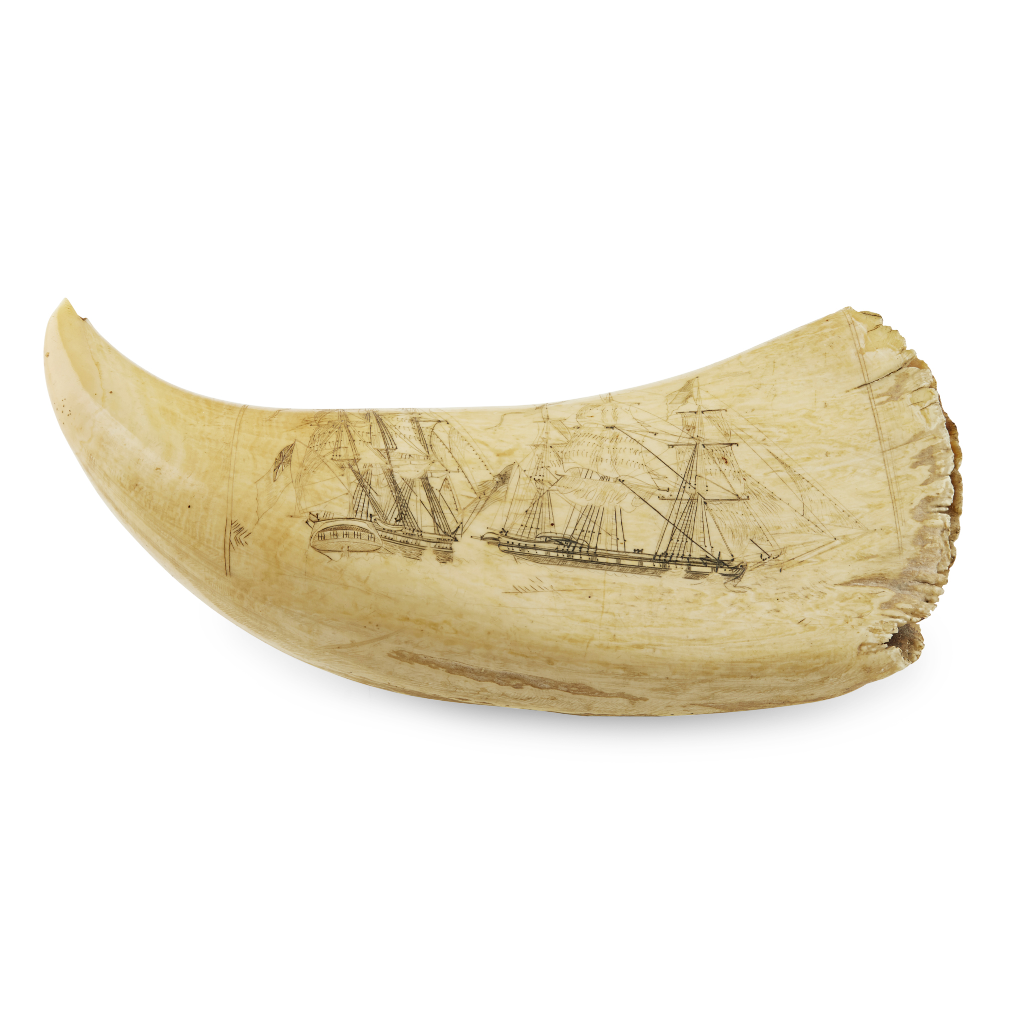SCRIMSHAW WHALE'S TOOTH