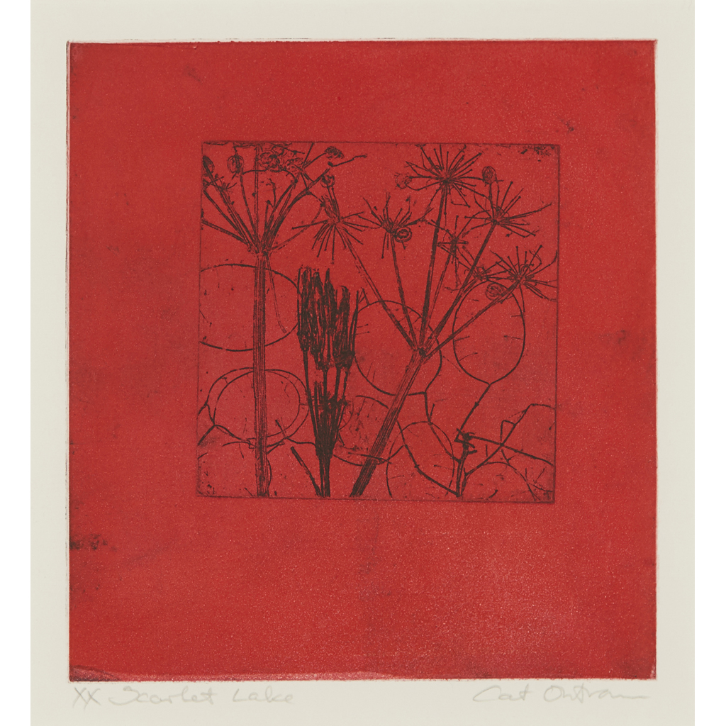 CAT OUTRAM (SCOTTISH CONTEMPORARY)