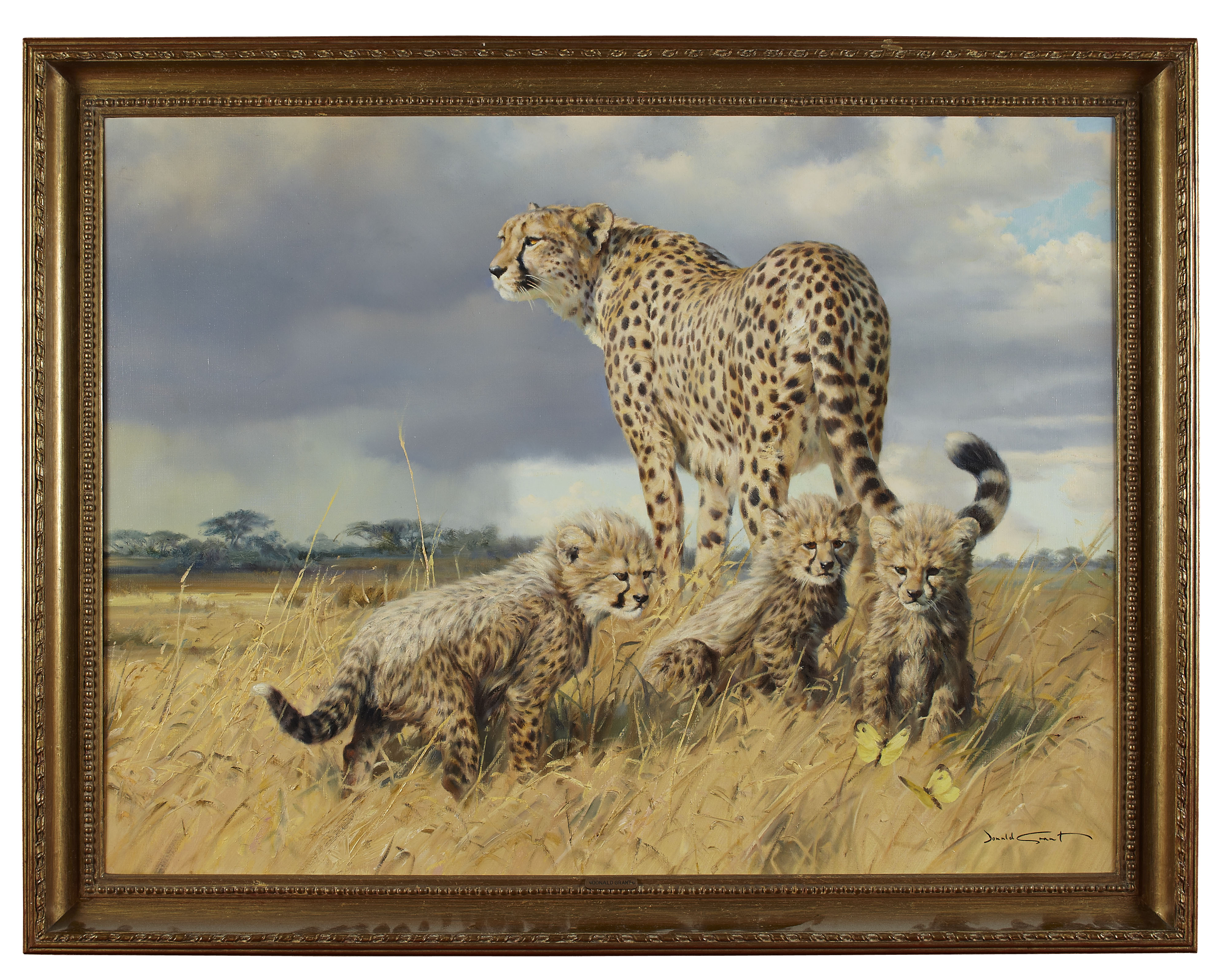 DONALD GRANT (BRITISH 1942-2001)