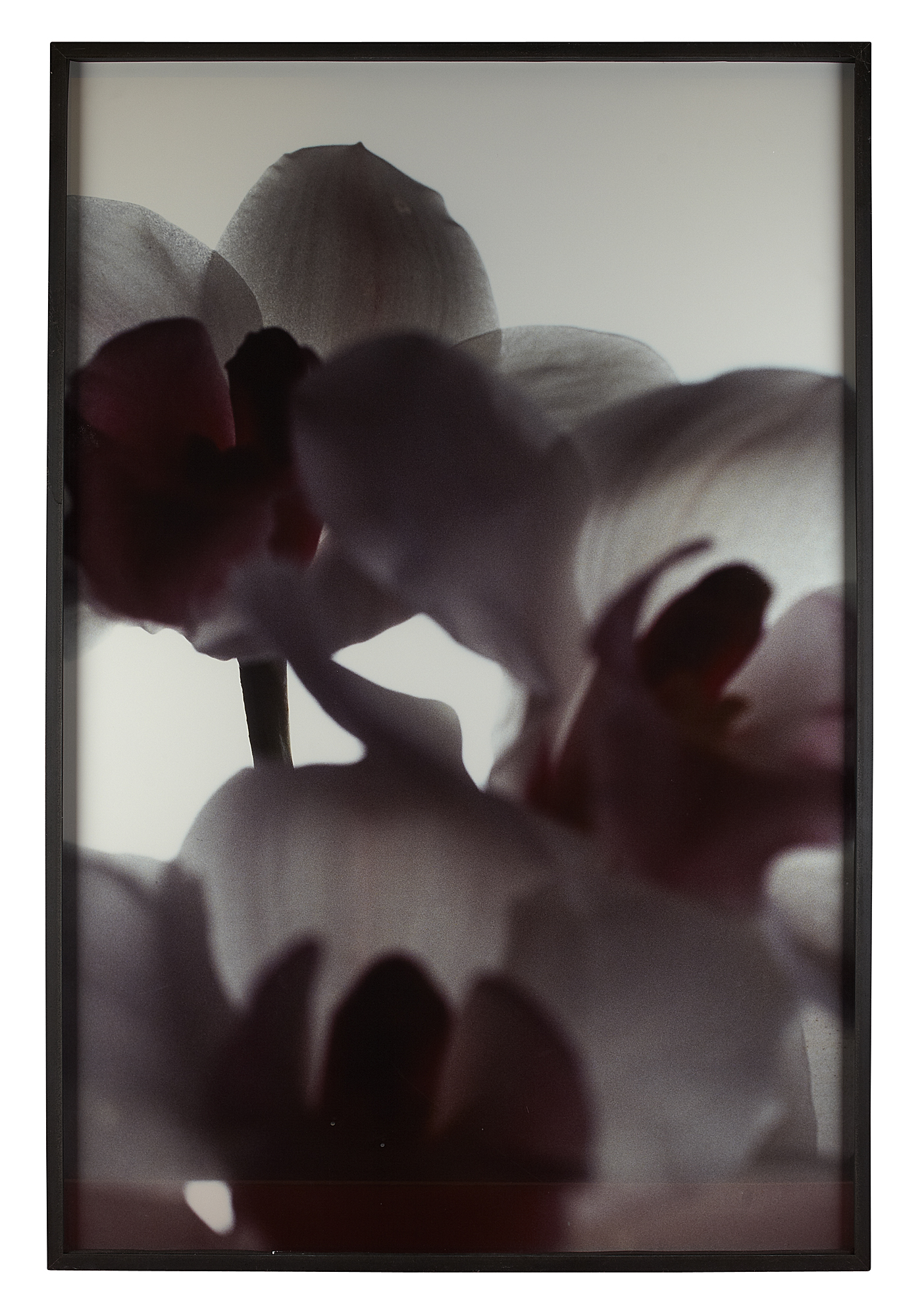 THOMAS FLORSCHUETZ (GERMAN B. 1957)