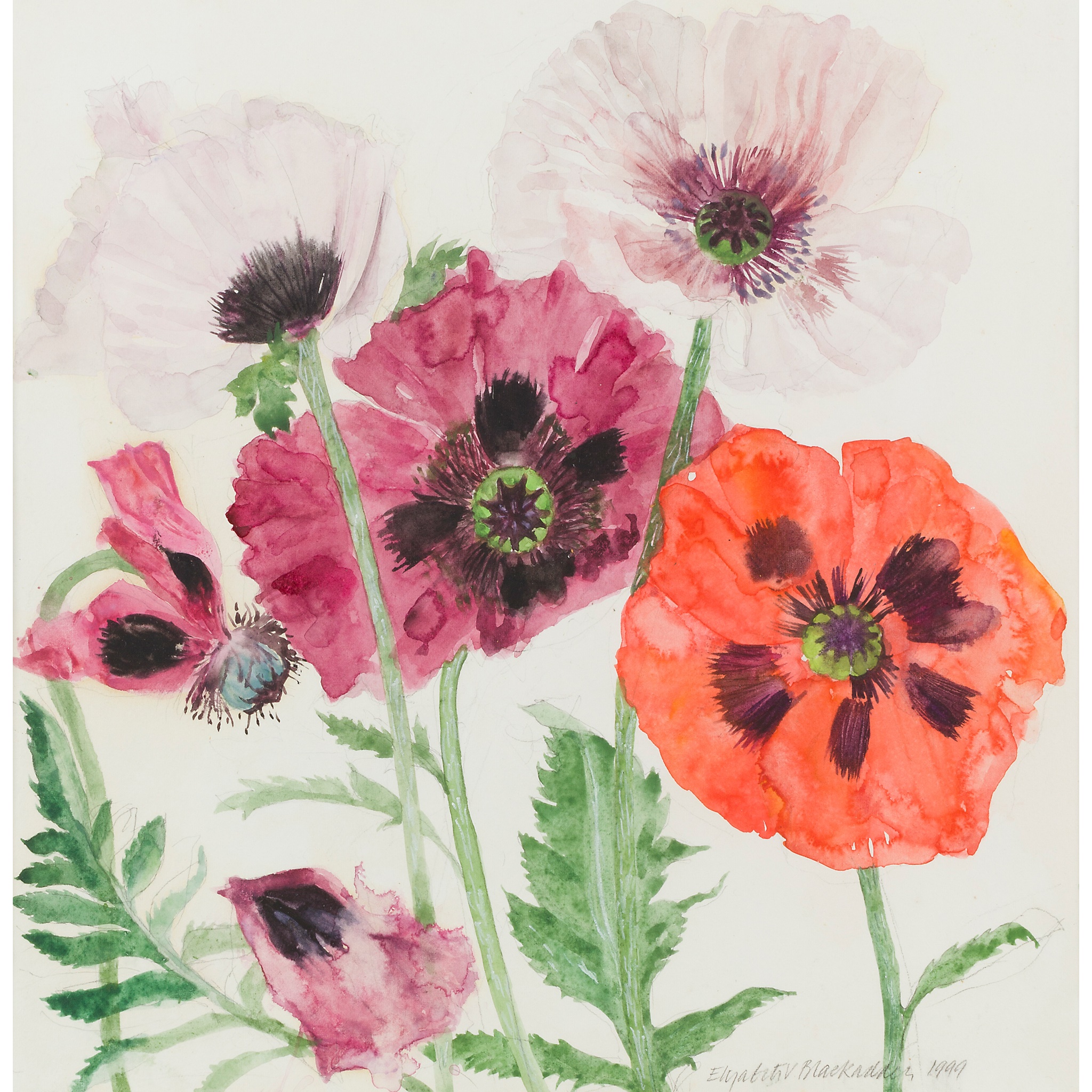 DAME ELIZABETH BLACKADDER O.B.E., R.A., R.S.A., R.S.W., R.G.I., D.Litt (SCOTTISH 1931-2021)