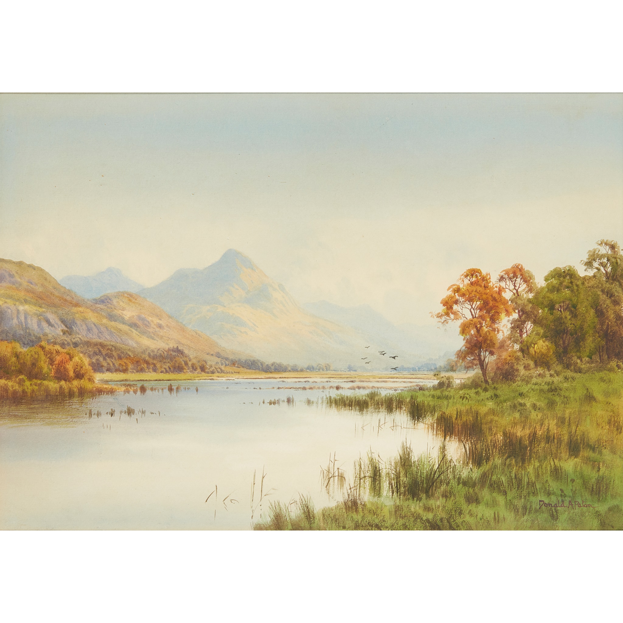 DONALD A. PATON (BRITISH 1879-1949)