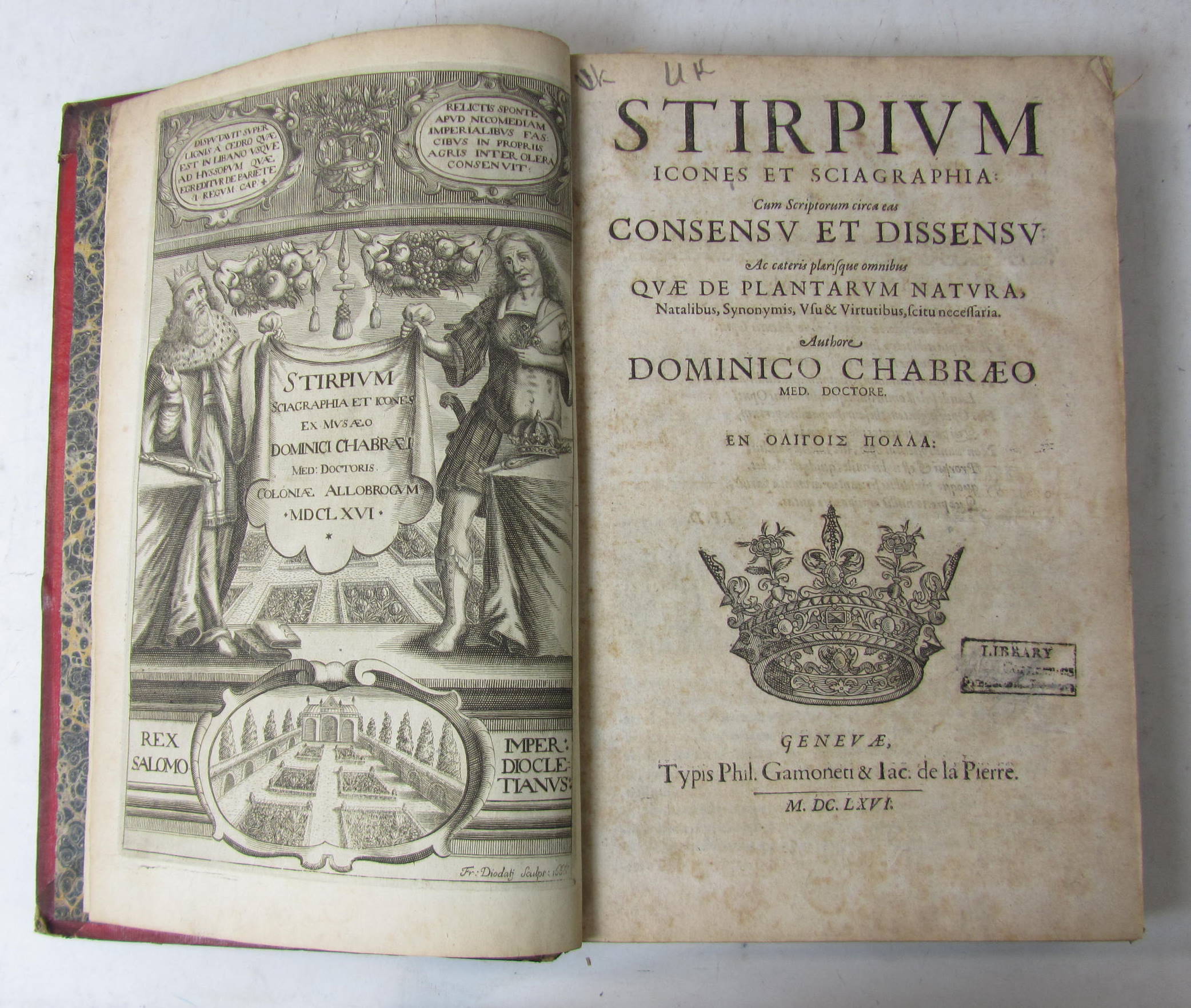 Chabraeus, Dominicus