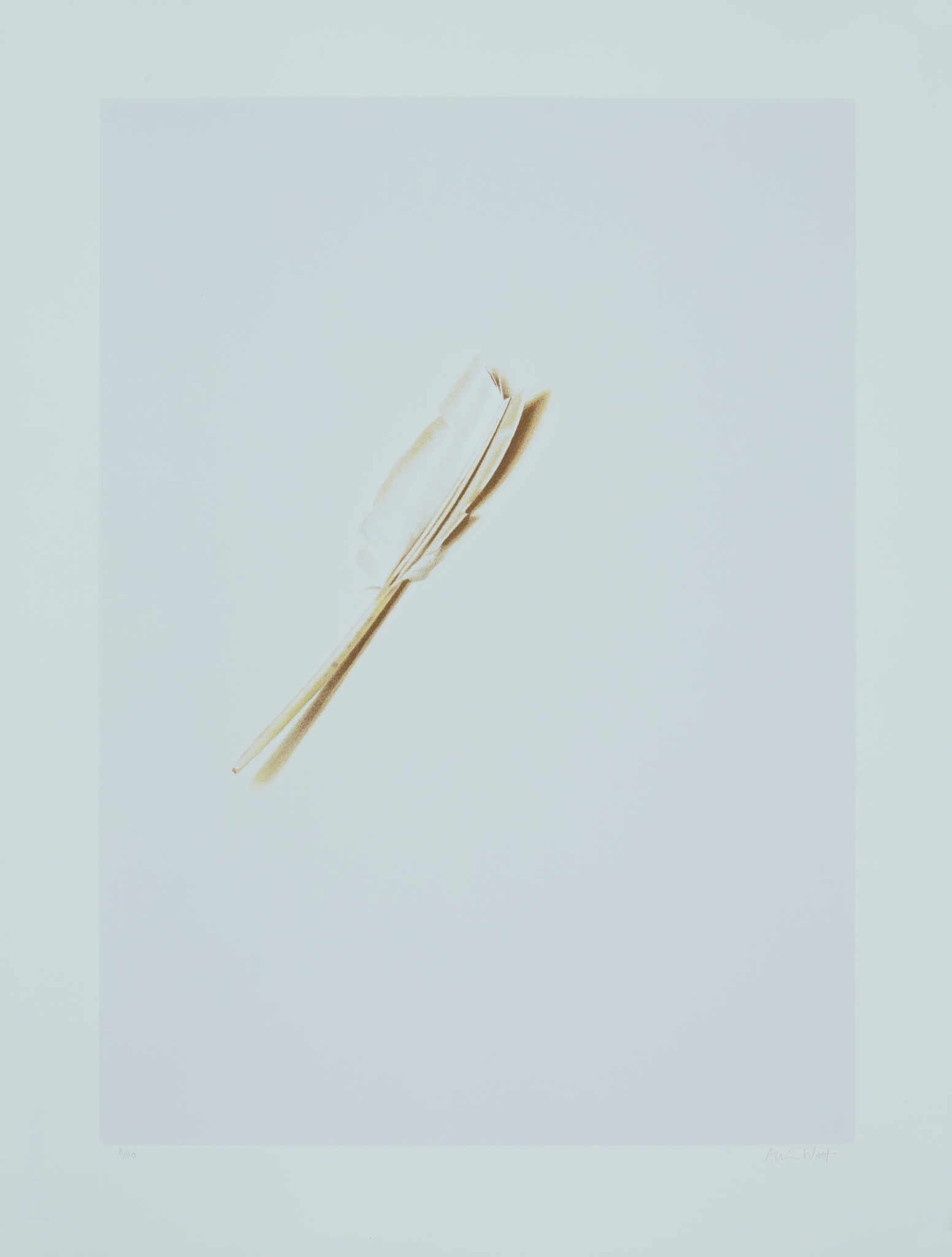 ALISON WATT O.B.E., F.R.S.E., R.S.A. (SCOTTISH 1965-)