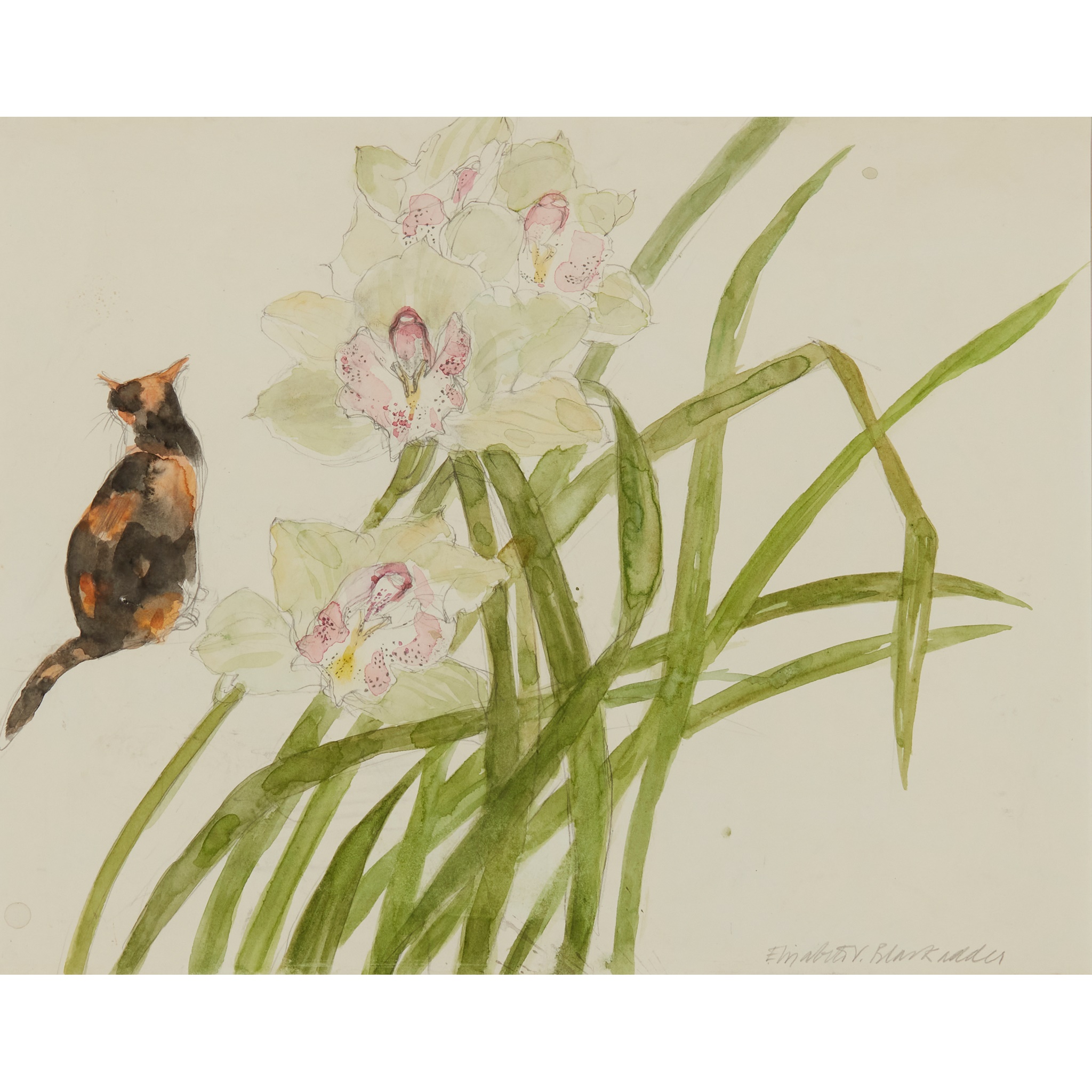 DAME ELIZABETH BLACKADDER O.B.E., R.A., R.S.A., R.S.W., R.G.I., D.Litt (SCOTTISH 1931-)
