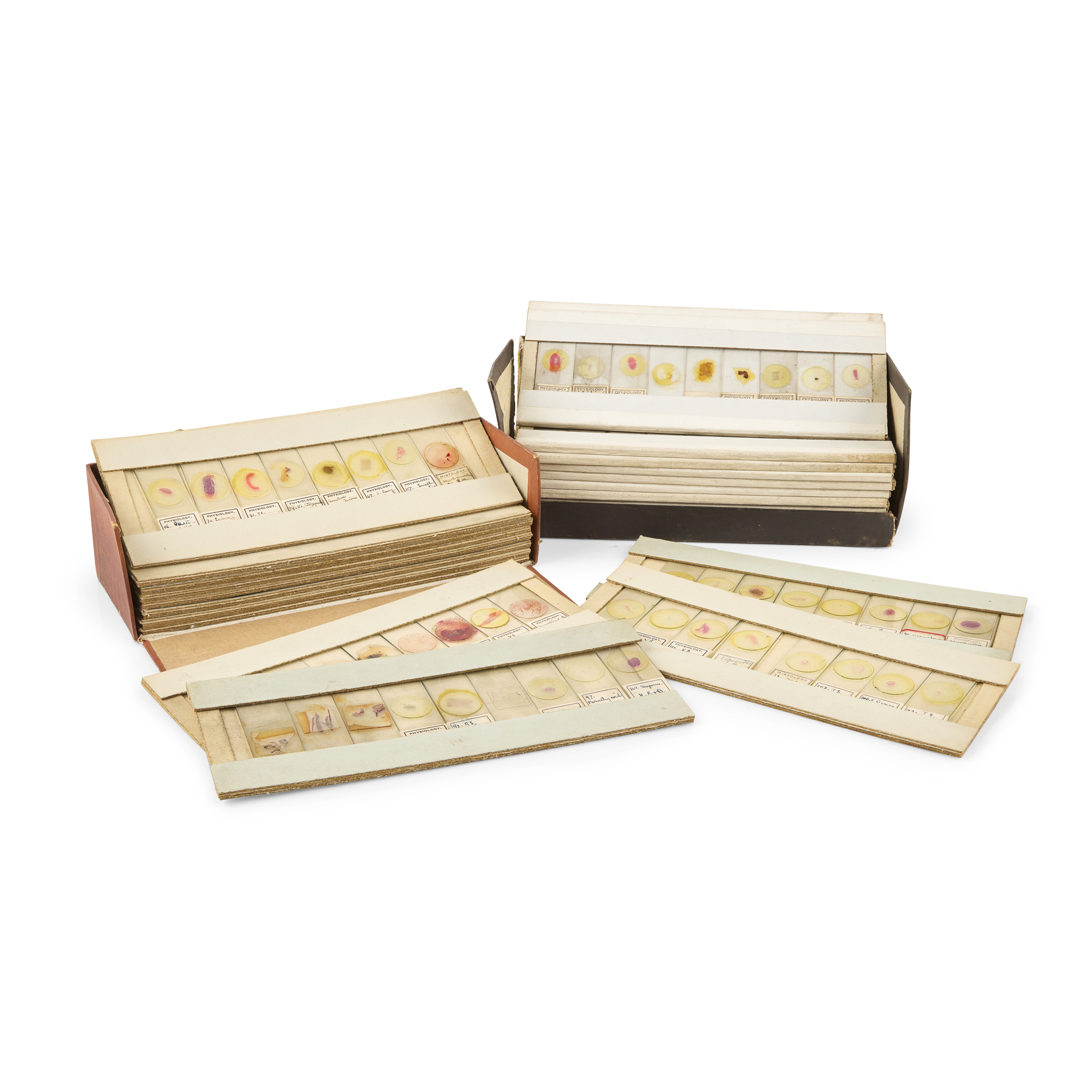 LARGE COLLECTION OF MICROSCOPE SLIDE SPECIMENS