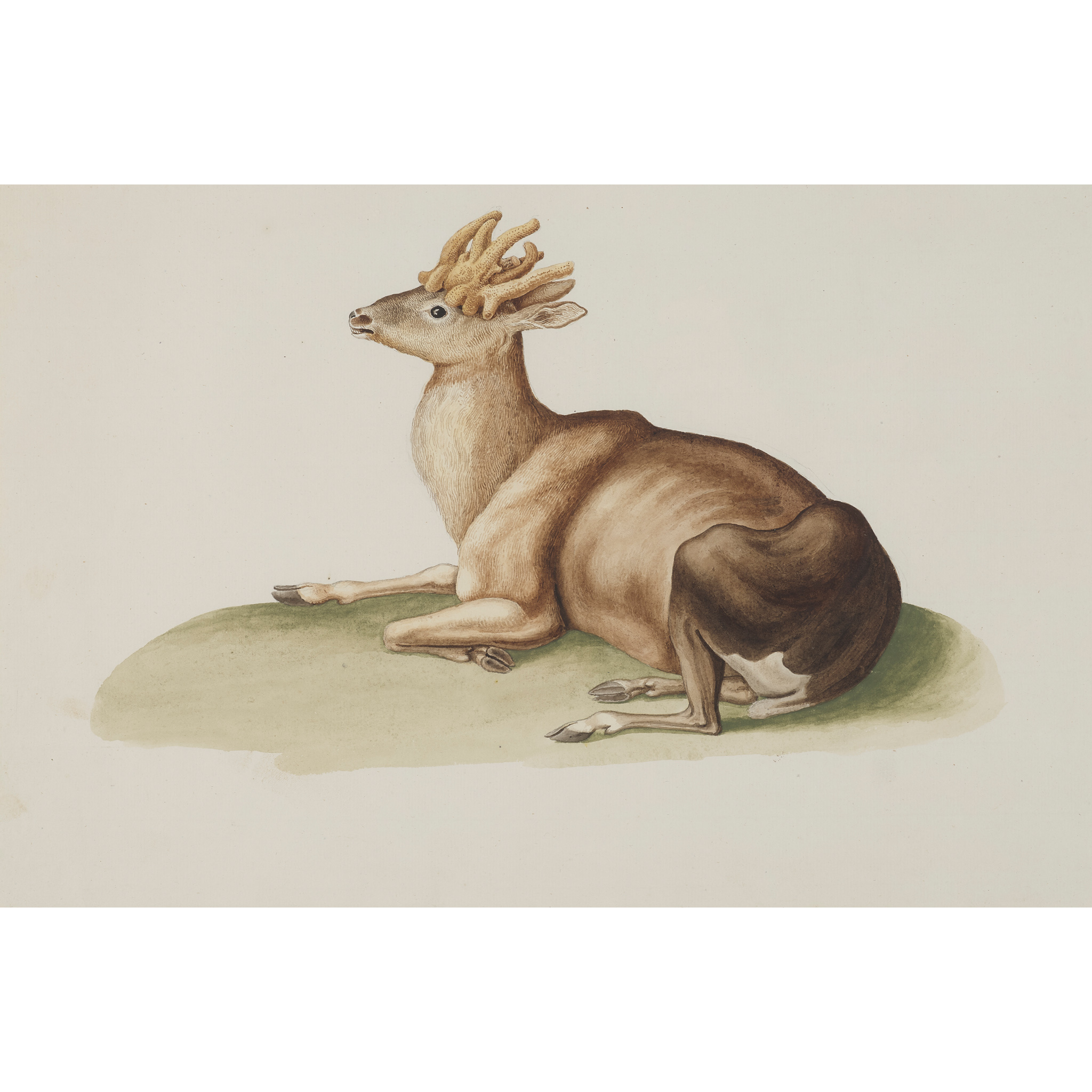 ATTRIBUTED TO FRANZ ANTON VON SCHEIDEL