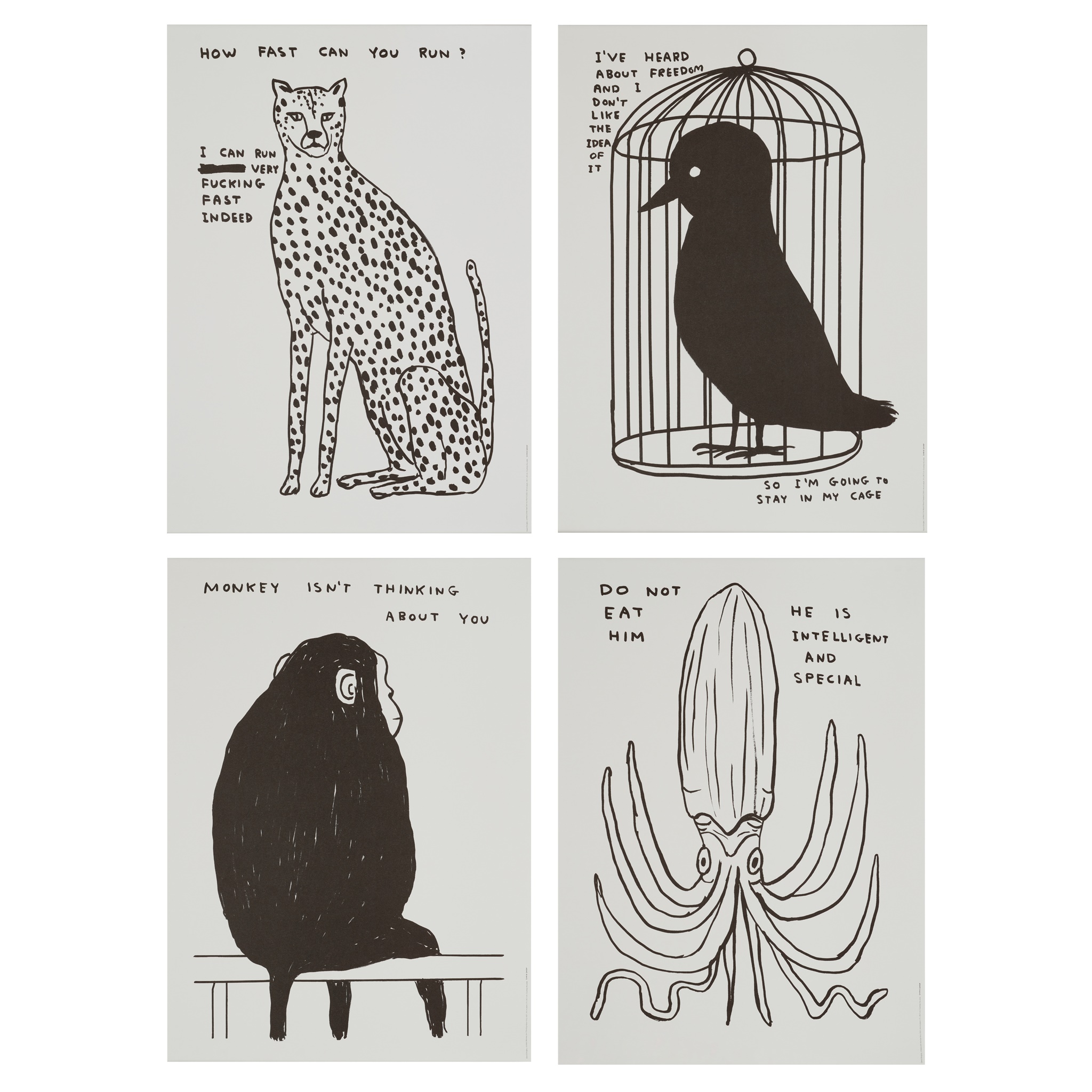 DAVID SHRIGLEY O.B.E. (BRITISH 1968-)