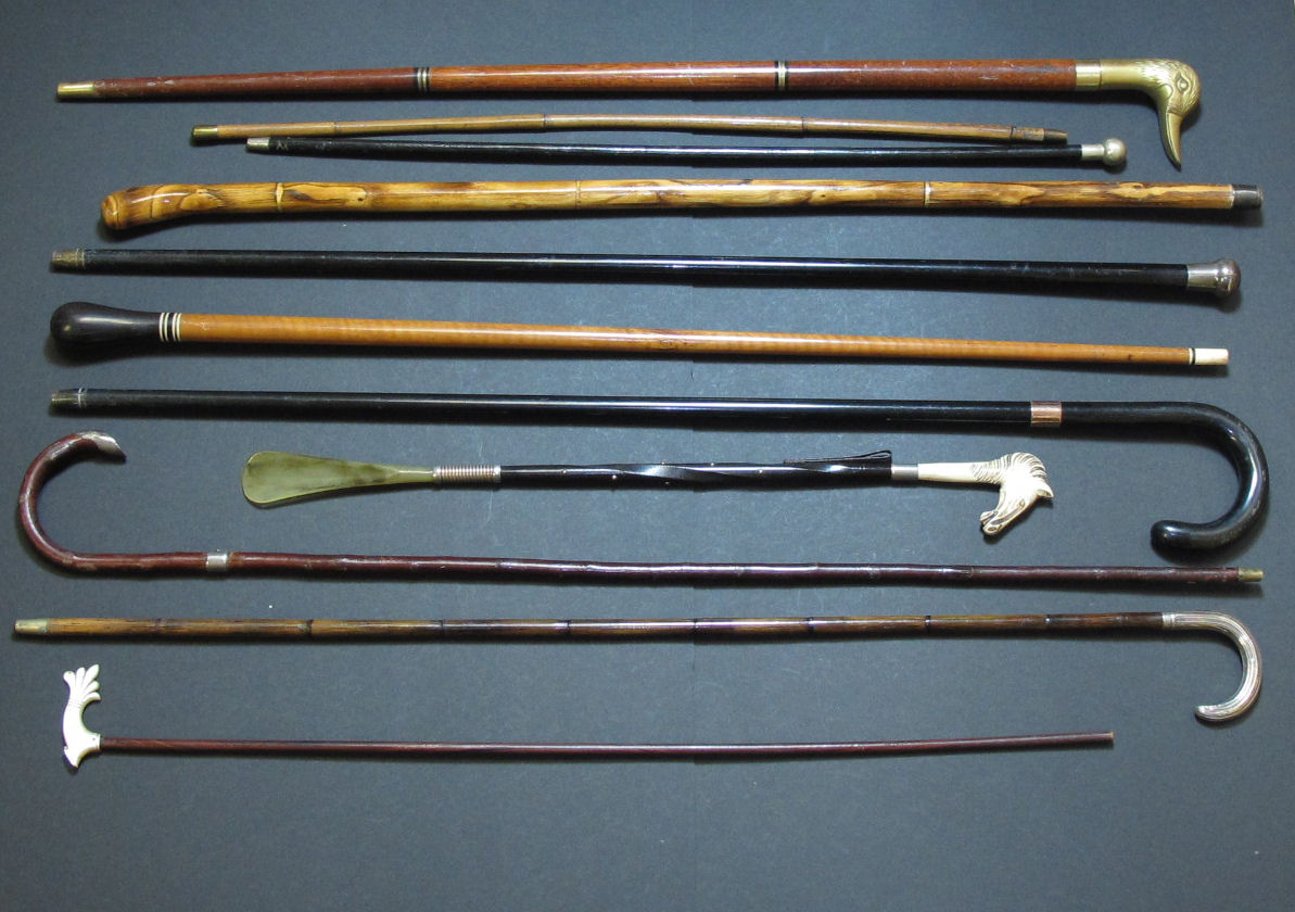A group of walking sticks