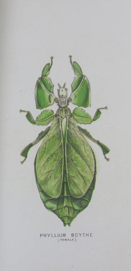 Royal Physical Society of Edinburgh