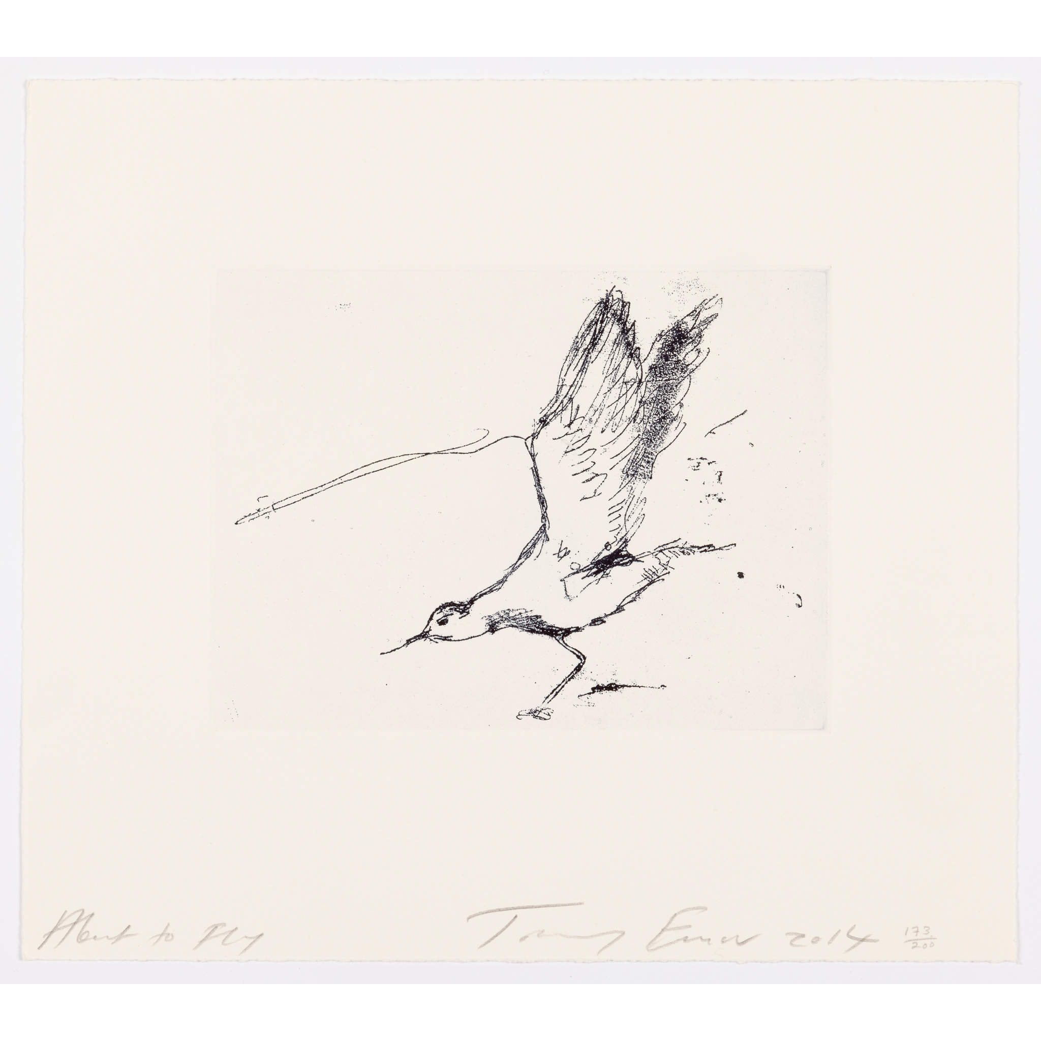 TRACEY EMIN C.B.E., R.A. (BRITISH 1963- )