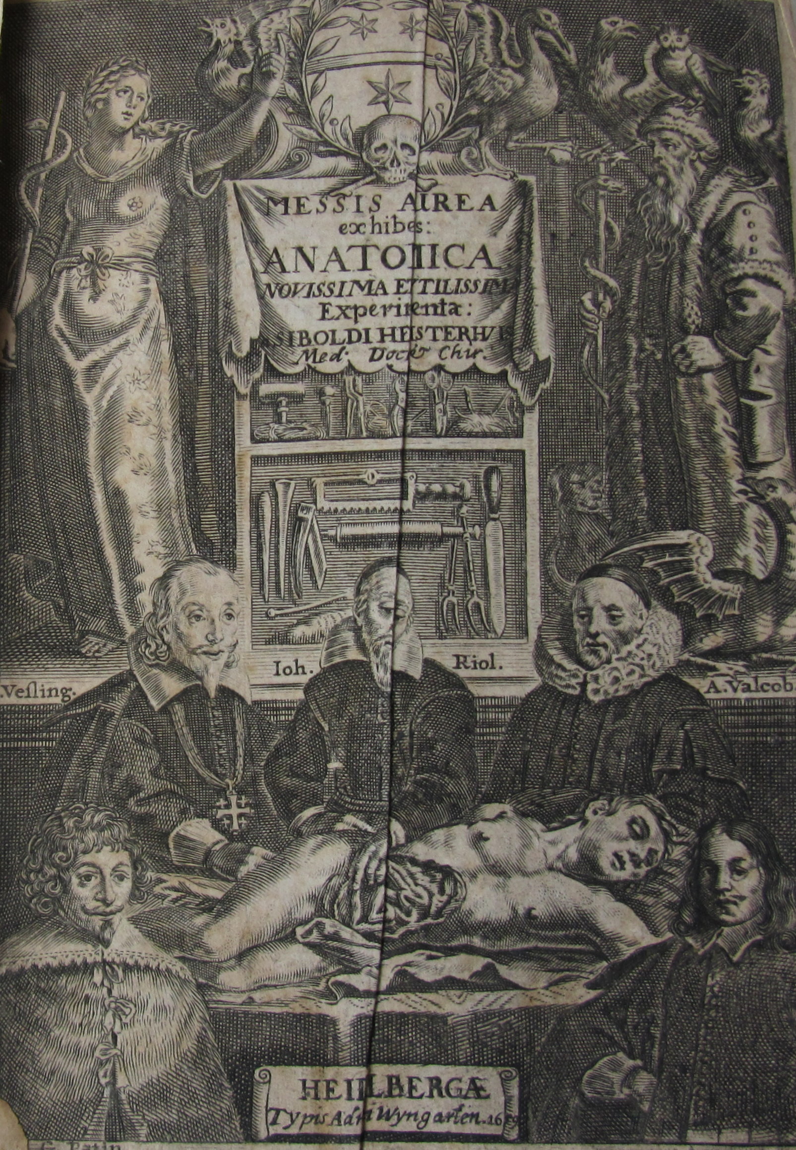 Hemsterhuis, Siboldus