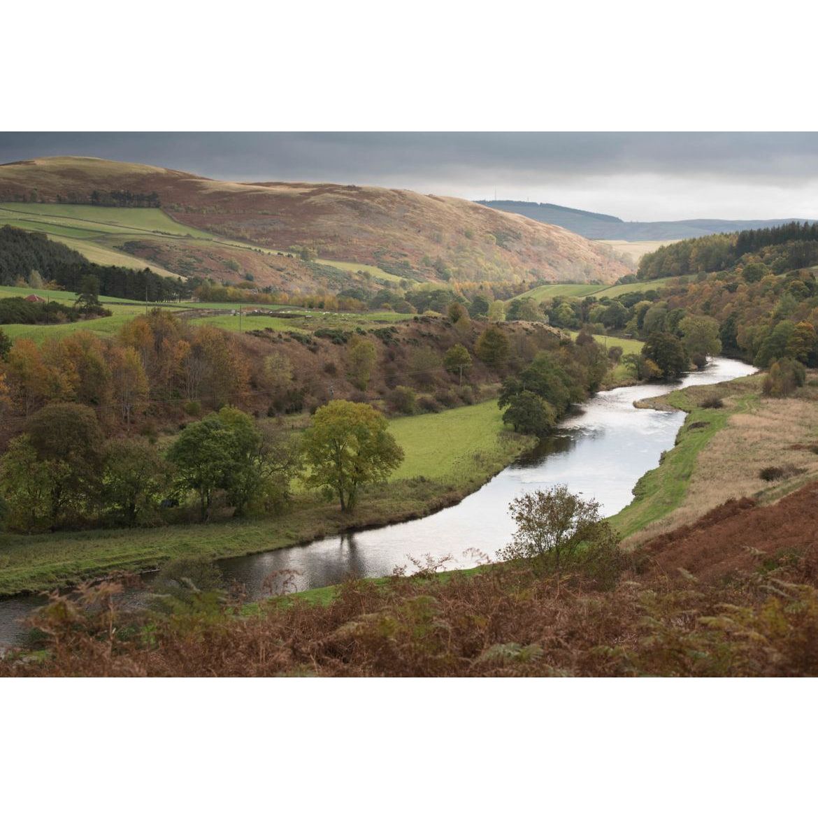 HALF DAY SALMON FISHING ON THE TWEED