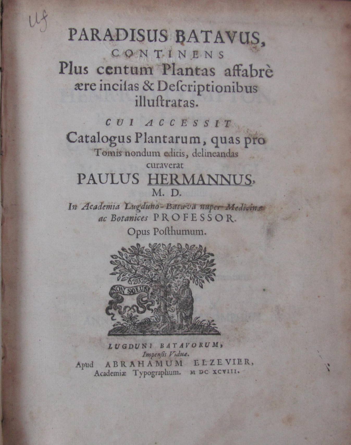 Hermannus, Paulus