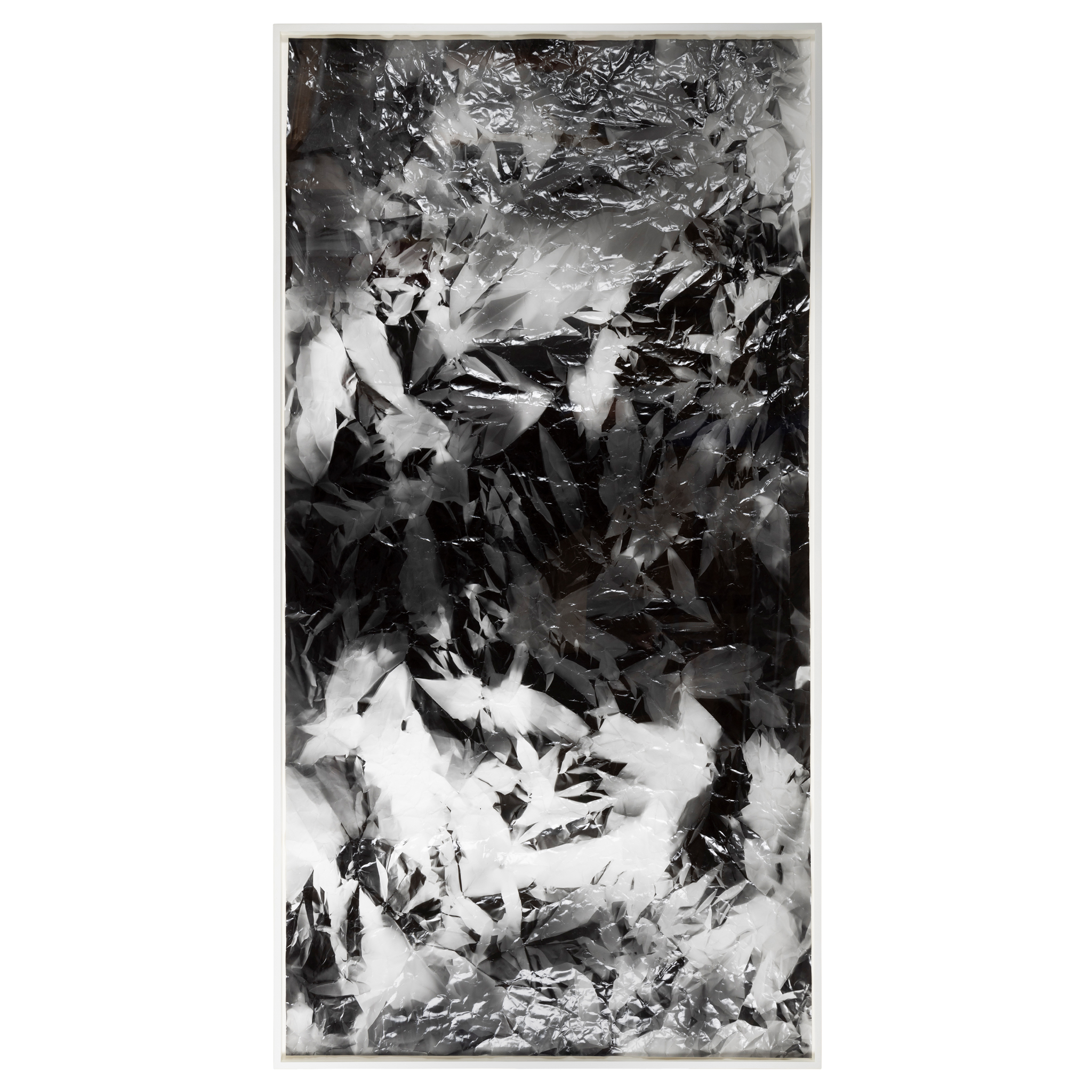 ***WALEAD BESHTY (BRITISH/AMERICAN 1977-)***