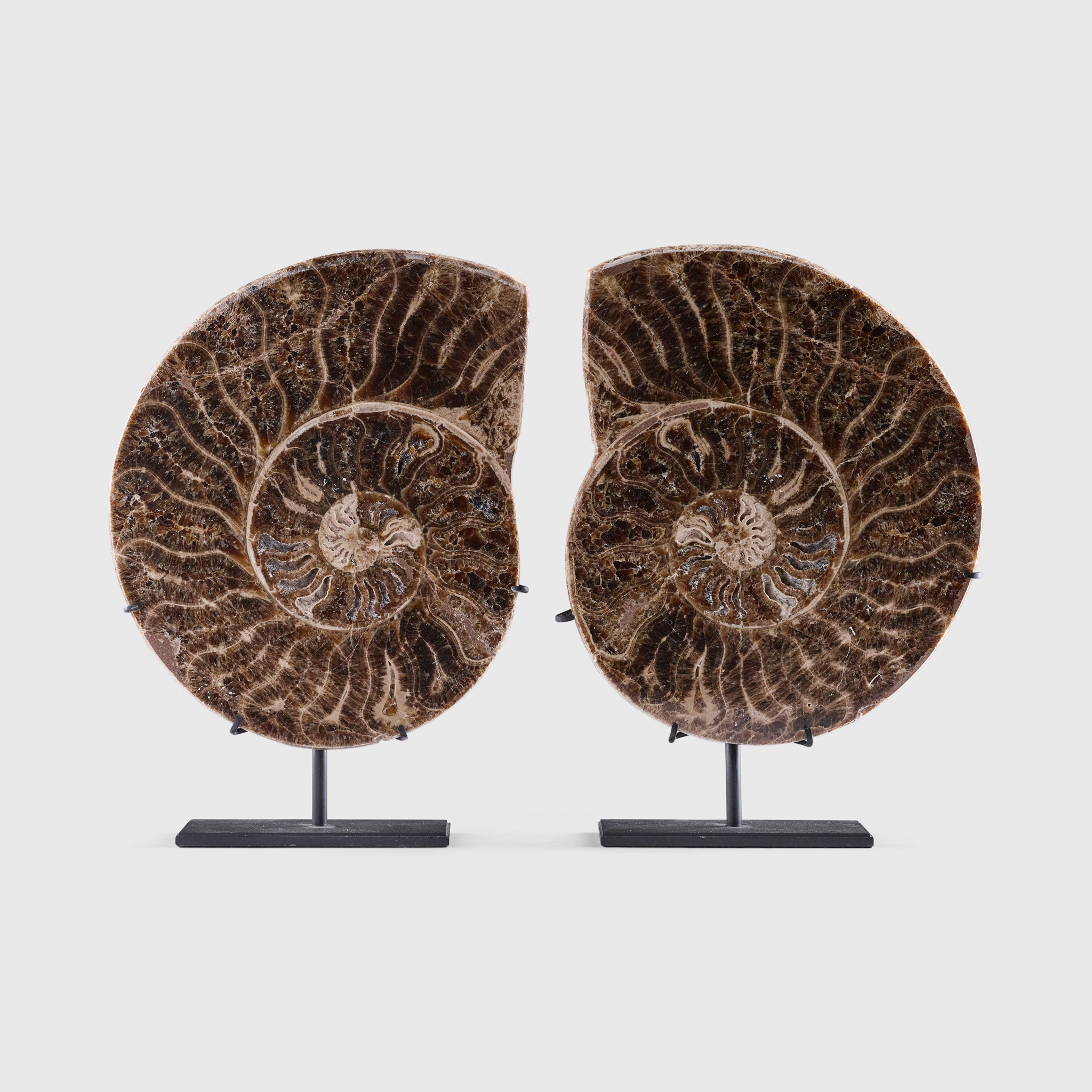 SPLIT AMMONITE PAIR