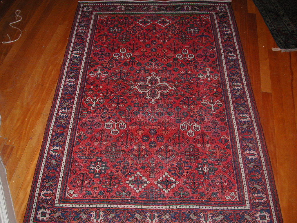 A Joshagan rug