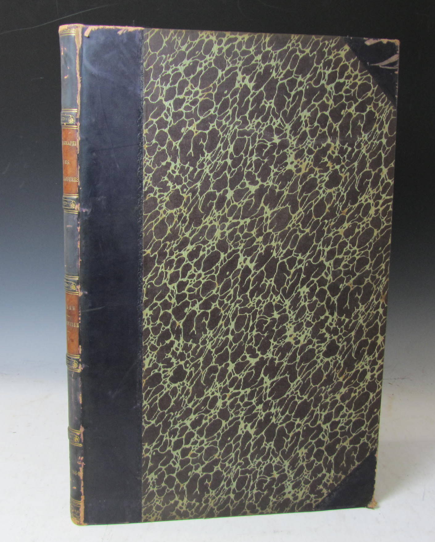 Blainville, H. M. D. de