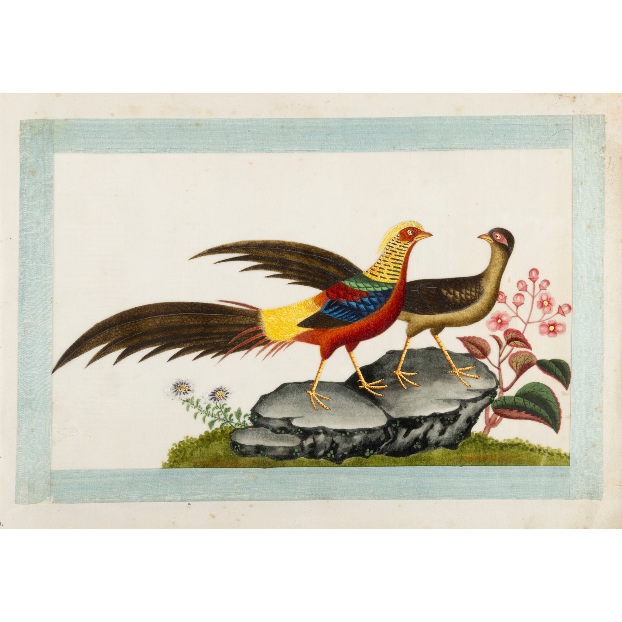 AN ALBUM OF TWELVE LEAVES EXOTIC BIRDS STUDIES
