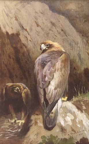 ARCHIBALD THORBURN (1860-1935)