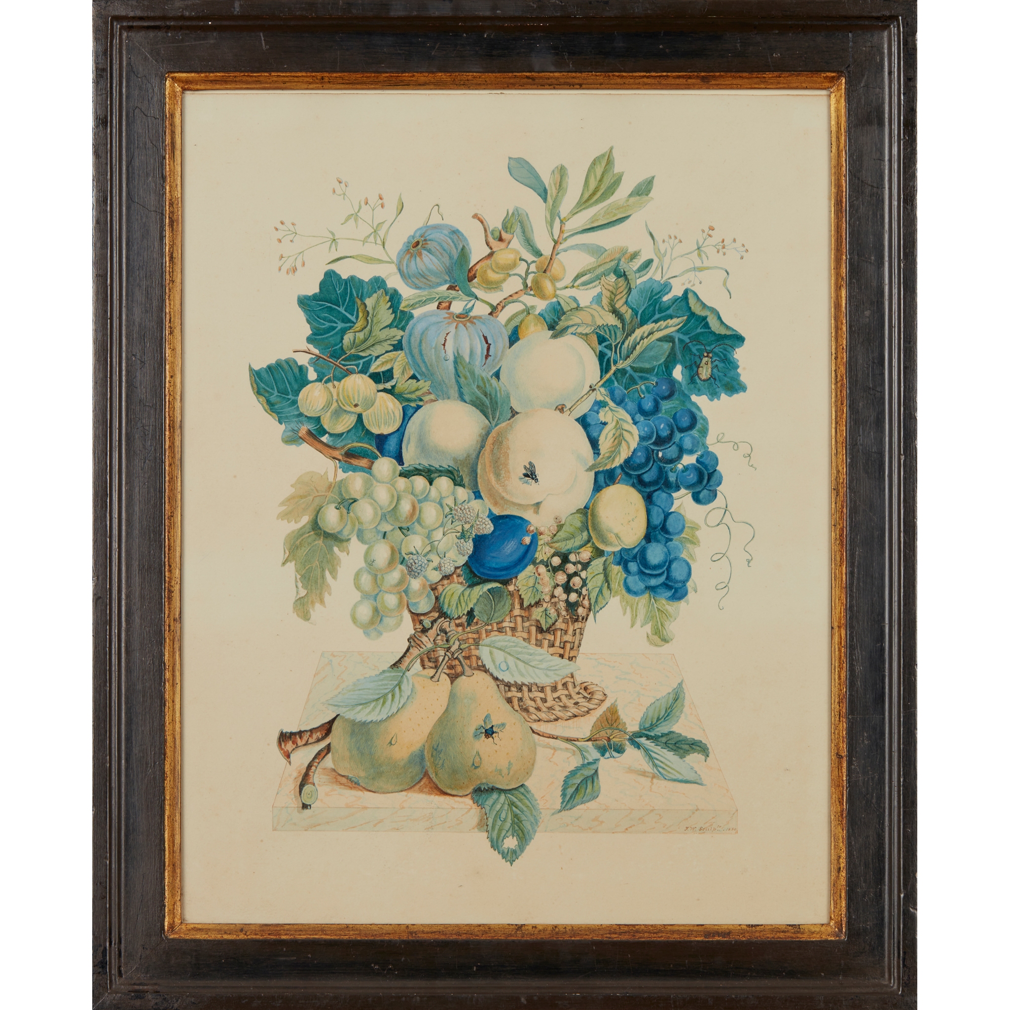 GROUP OF FIVE BOTANICAL STUDY WATERCOLOUR PAINTINGS