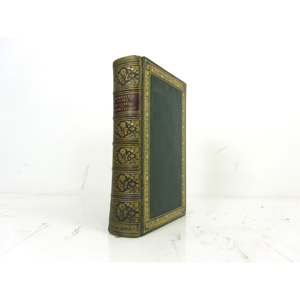 Isle of Wight - Bromfield, William Arnold