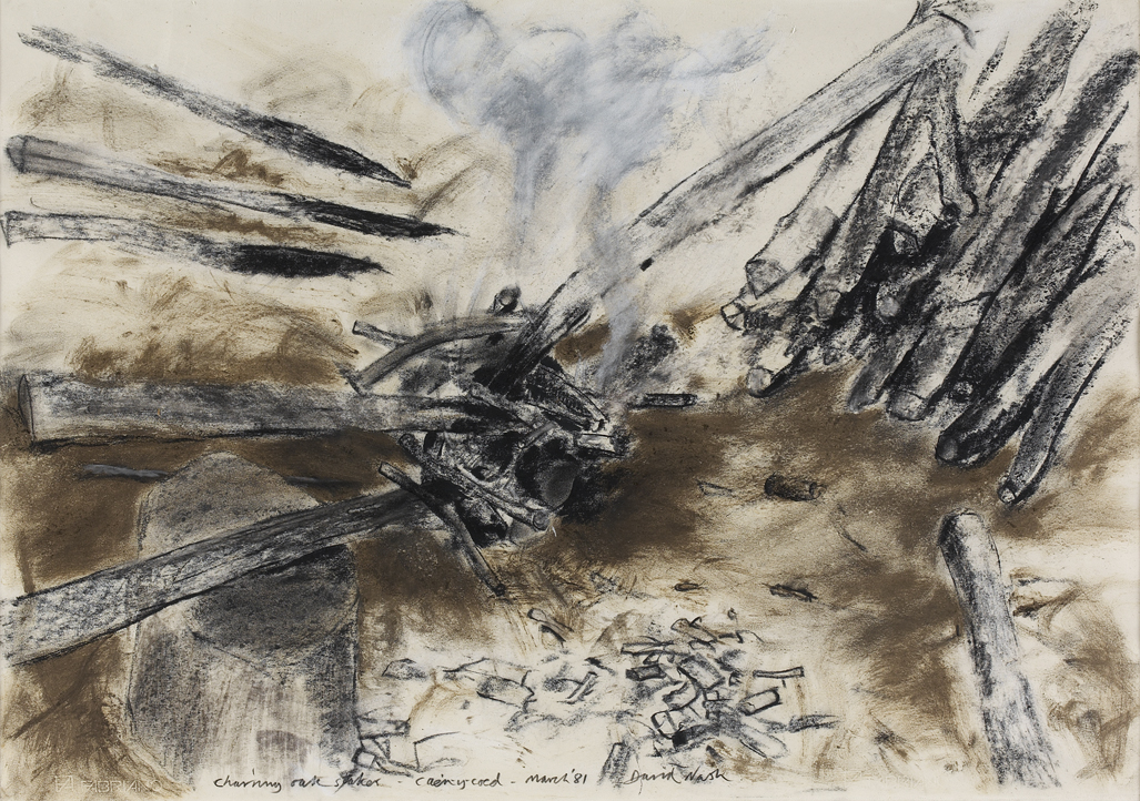 DAVID NASH (B. 1945)