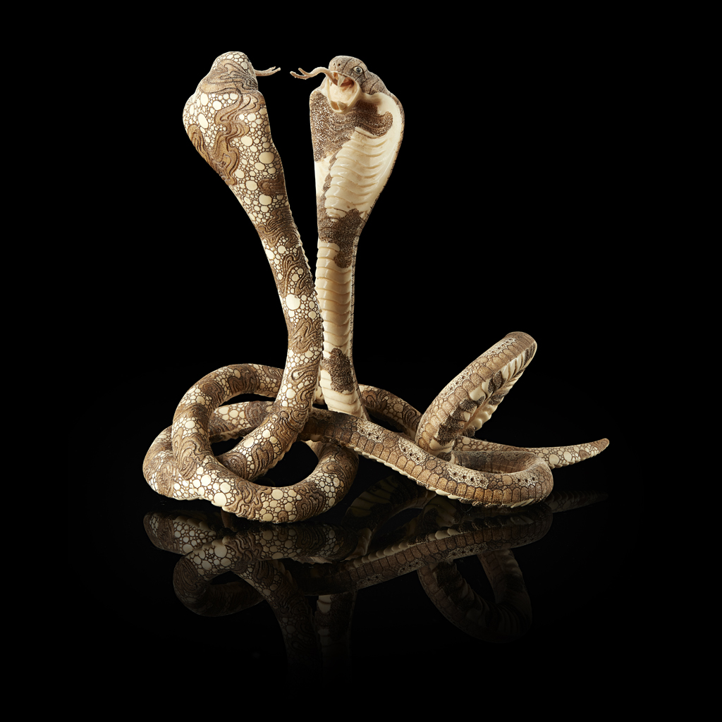 IVORY 'COBRA' GROUP
