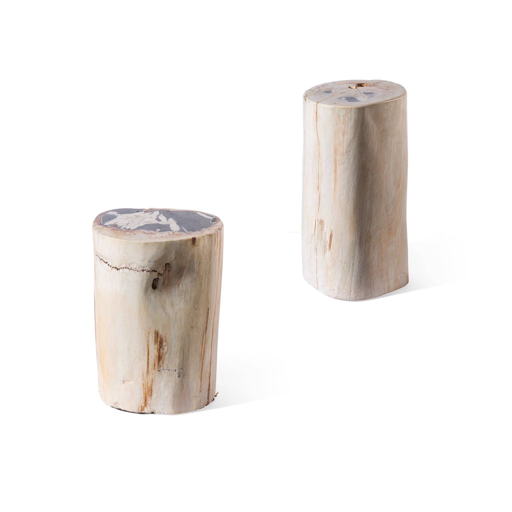 PAIR OF FOSSILISED WOOD STOOLS