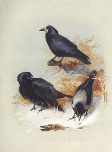 ARCHIBALD THORBURN (1860-1935)