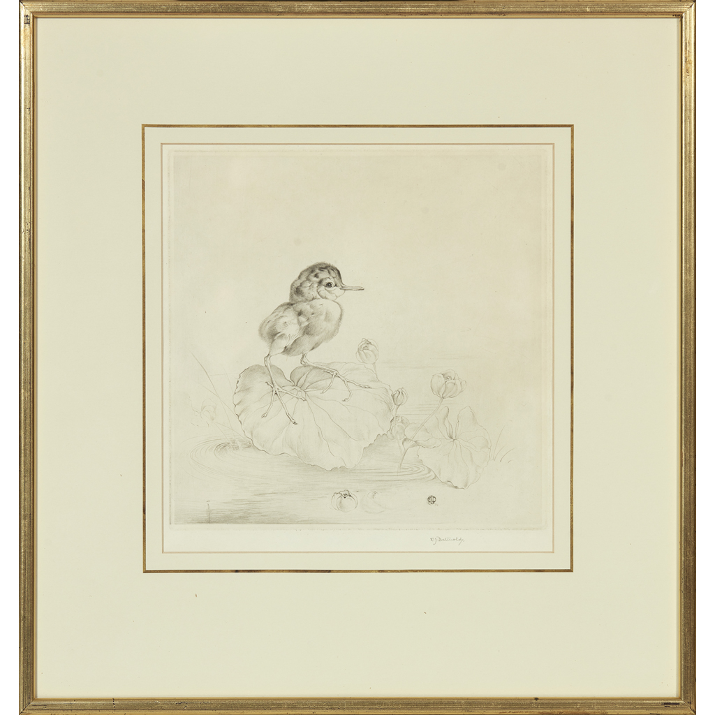 EDWARD JULIUS DETMOLD (BRITISH 1883-1957)