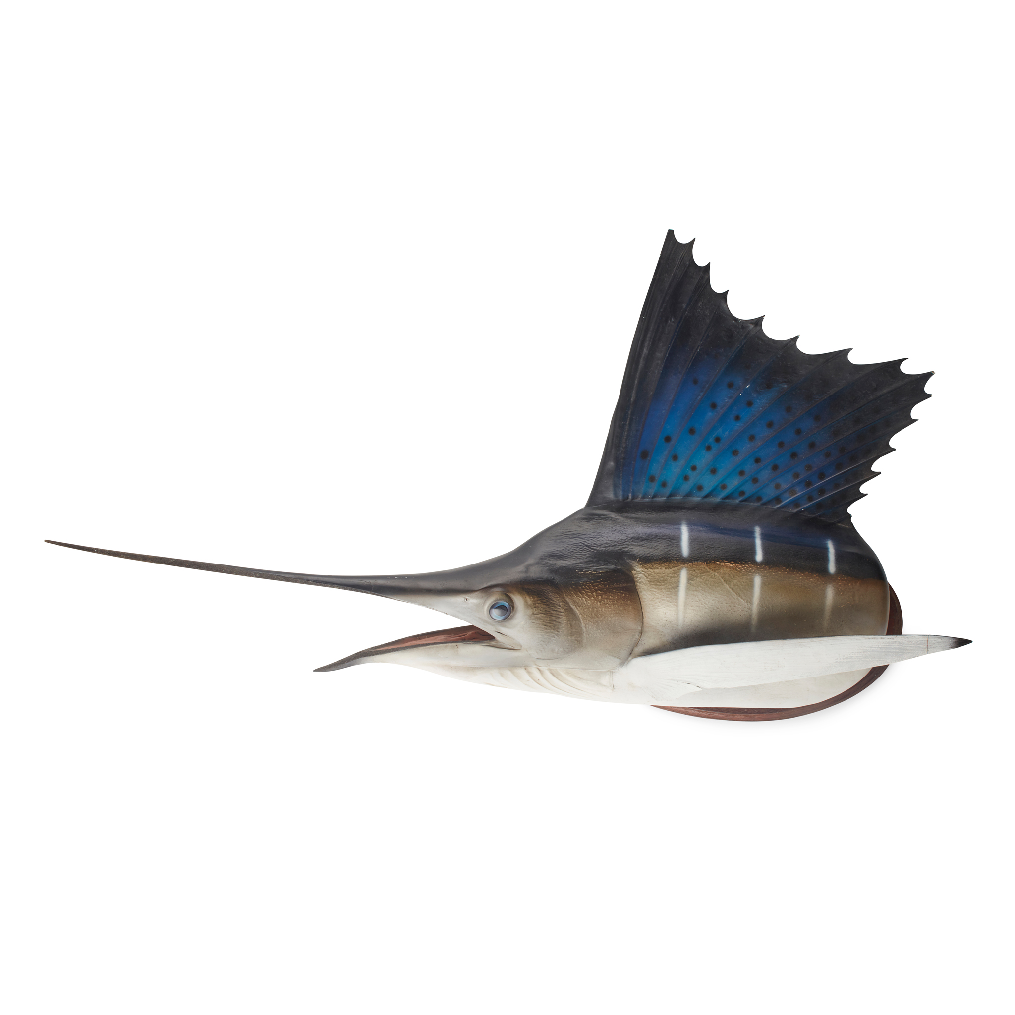 LARGE POLYCHROME PAINTED COMPOSITE SAILFISH TROPHY