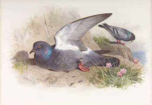 ARCHIBALD THORBURN (1860-1935)