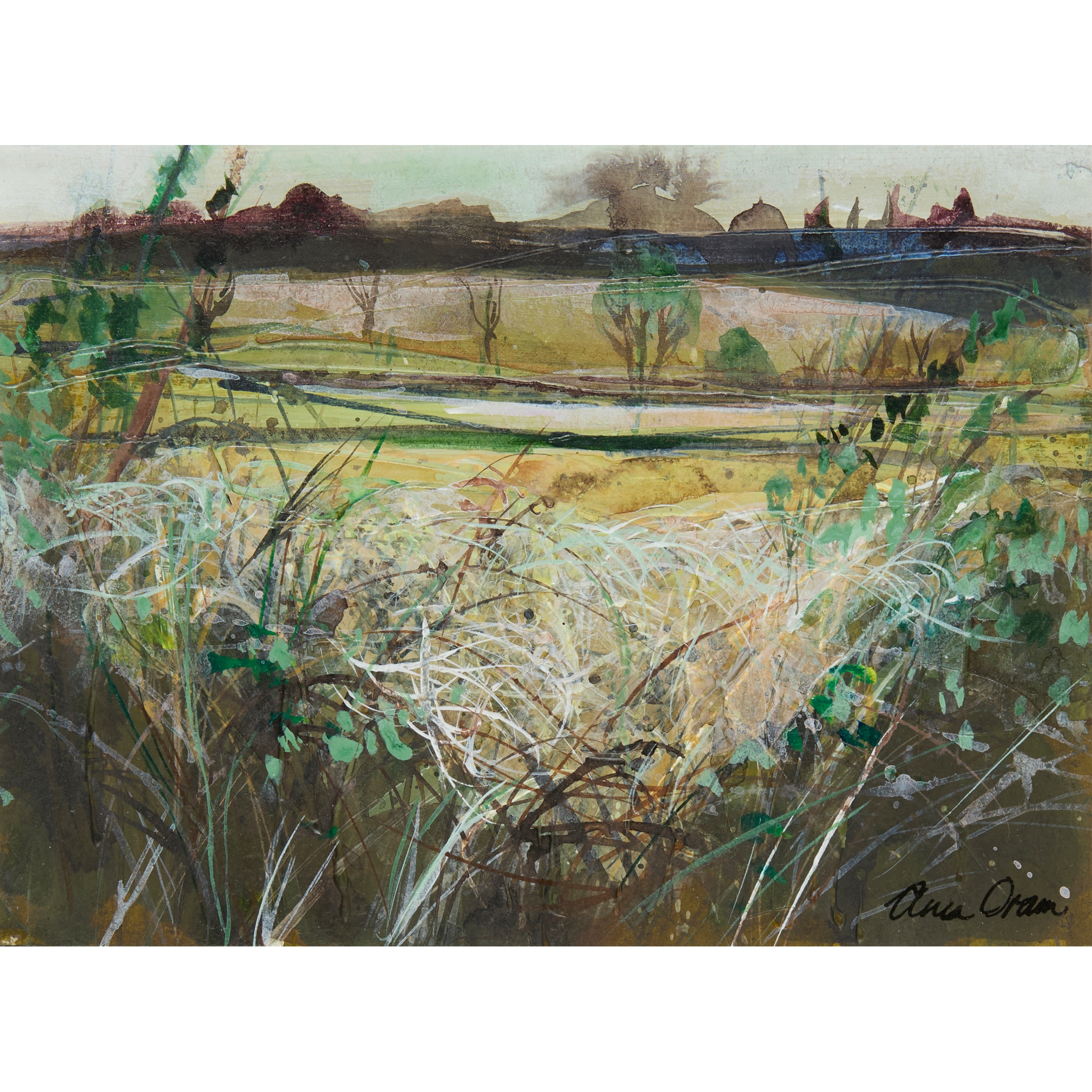 ANN ORAM R.S.W. (SCOTTISH 1956-)