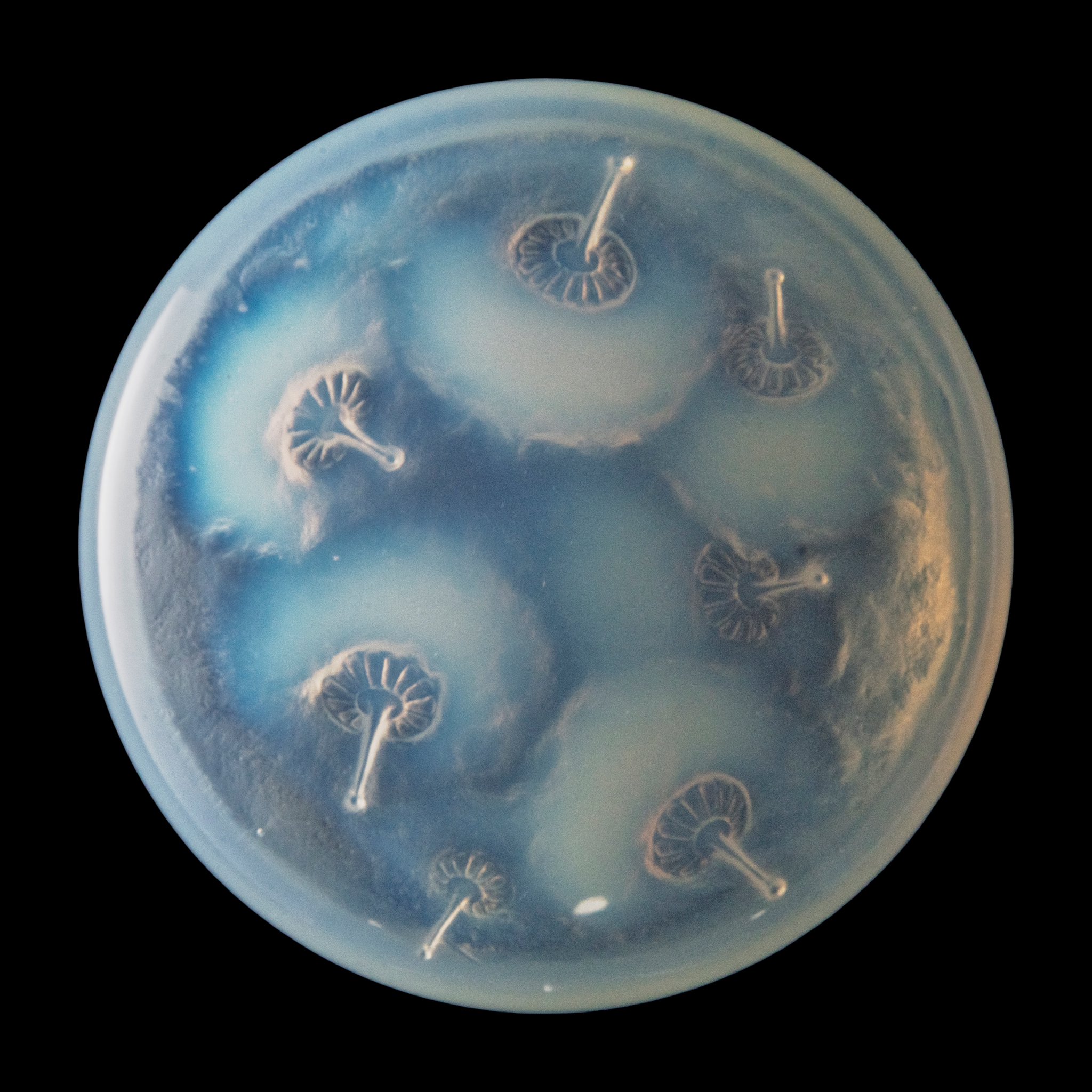 RENÉ LALIQUE (1860-1945)