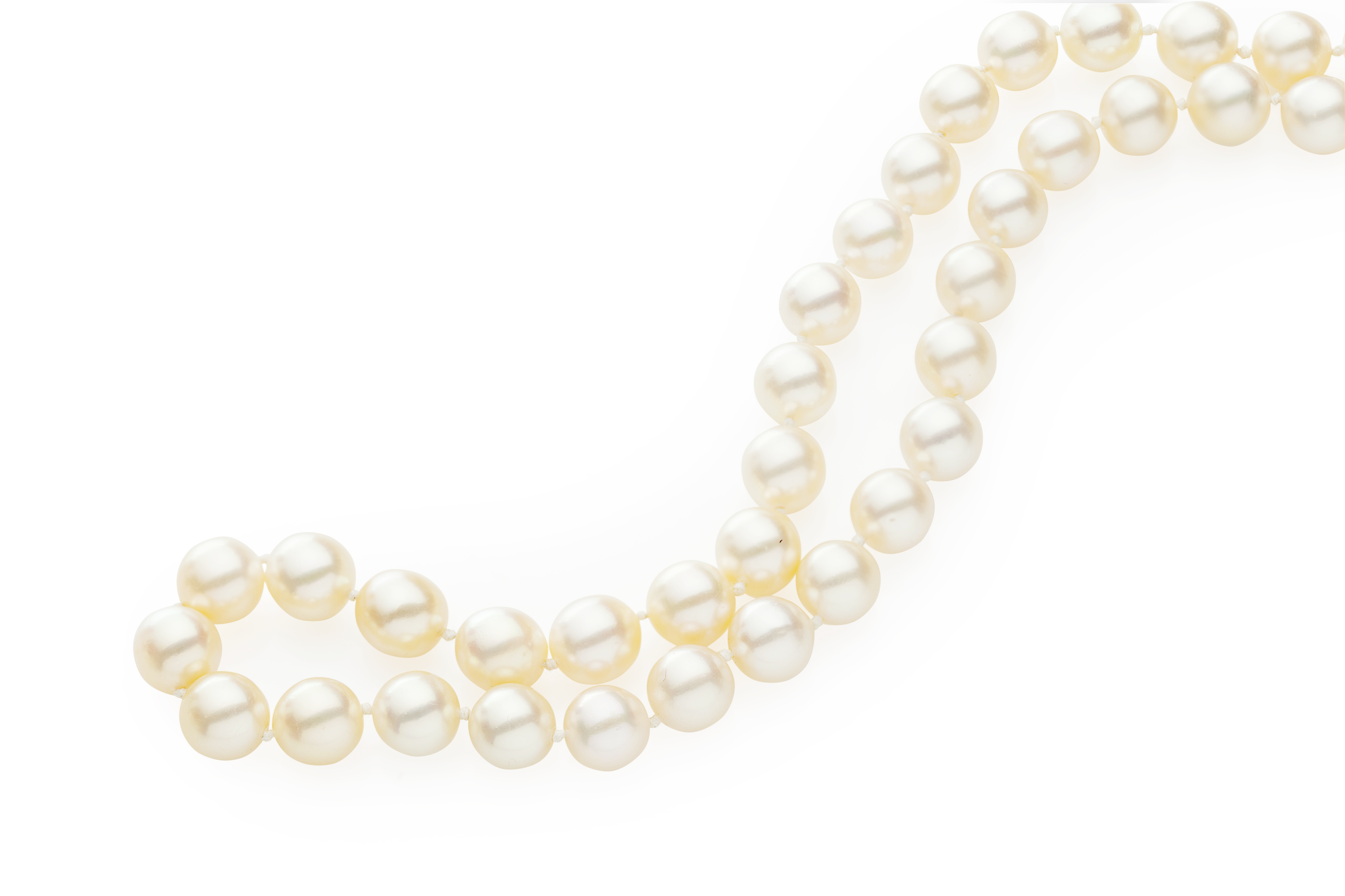 A single strand of opera length cultured pearls