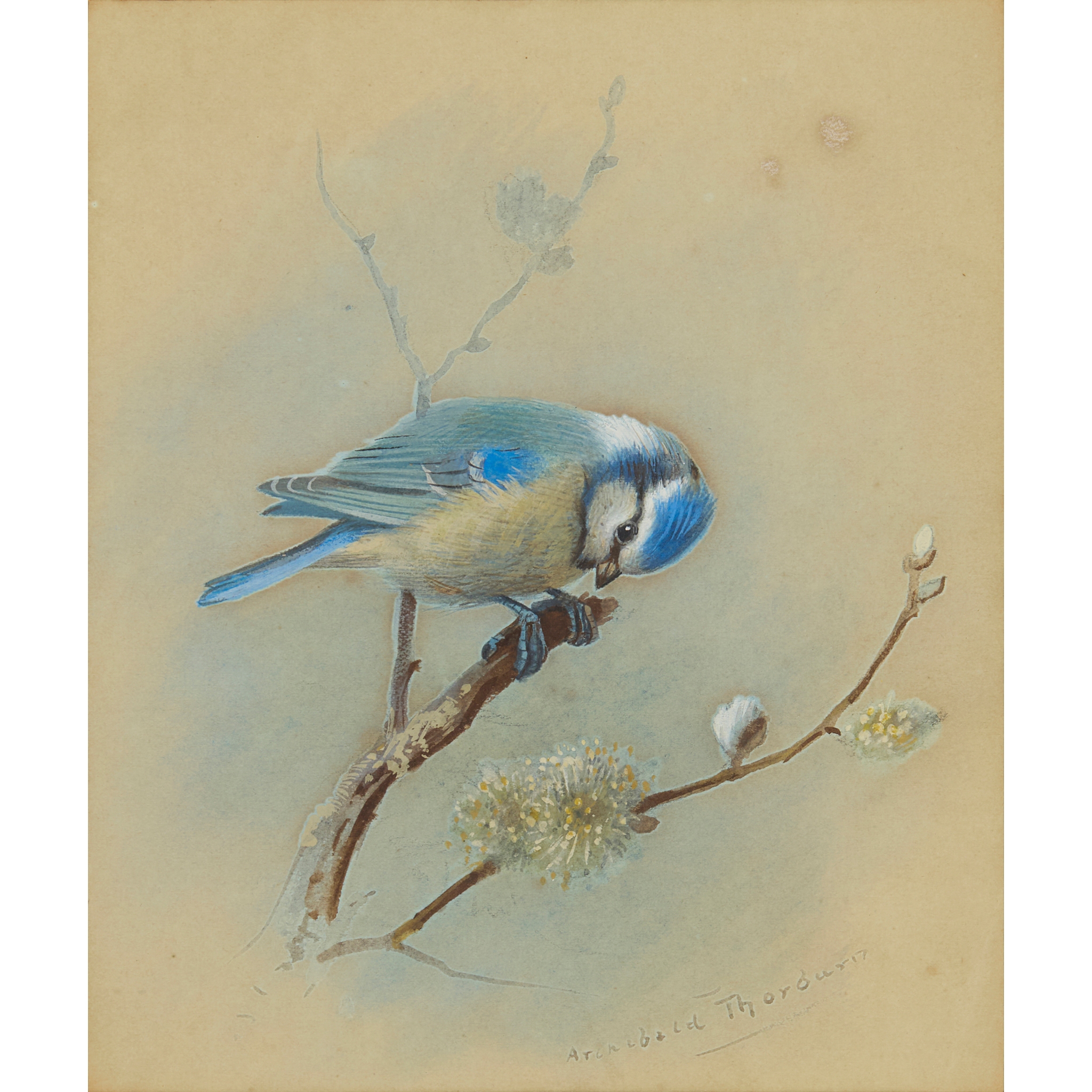 ARCHIBALD THORBURN (SCOTTISH 1860-1935)