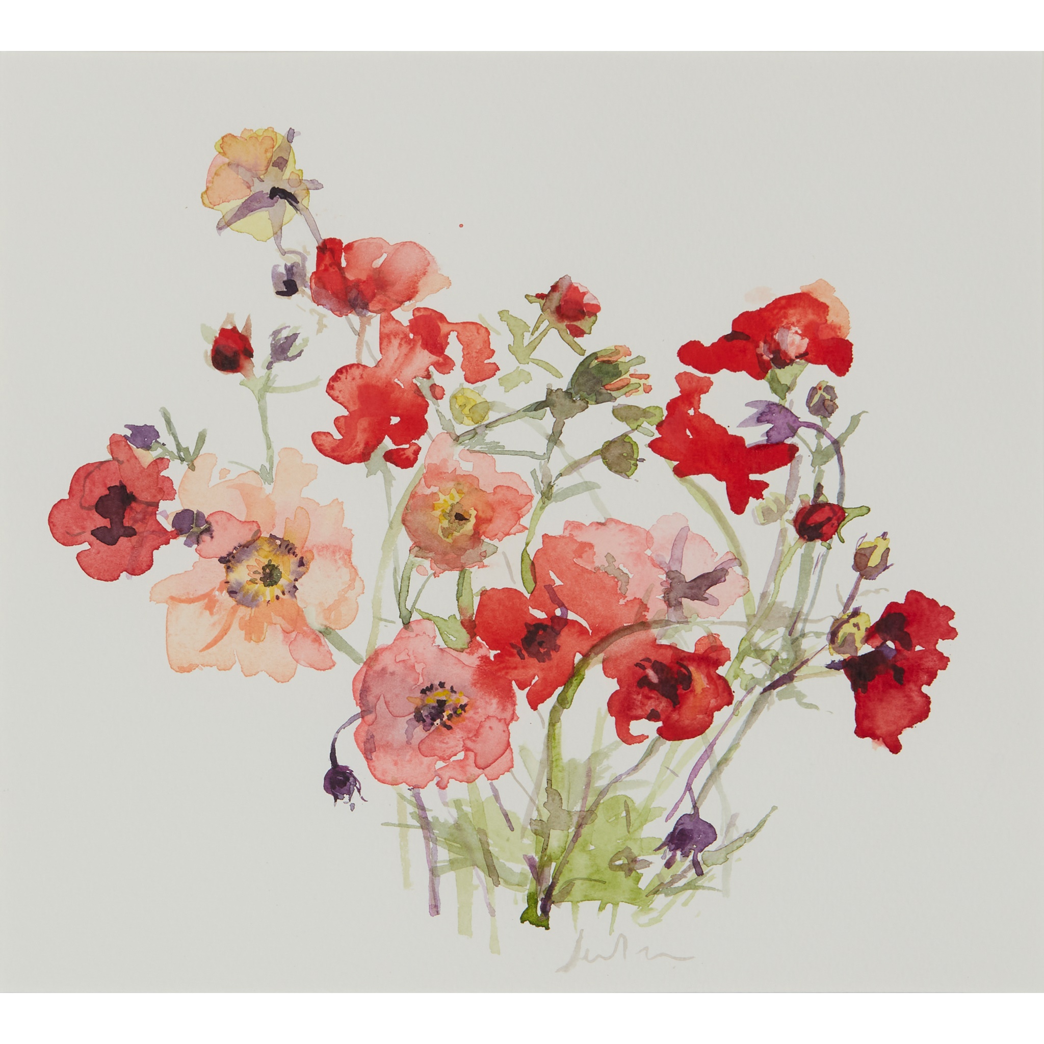 JENNY HUNTER (SCOTTISH CONTEMPORARY)