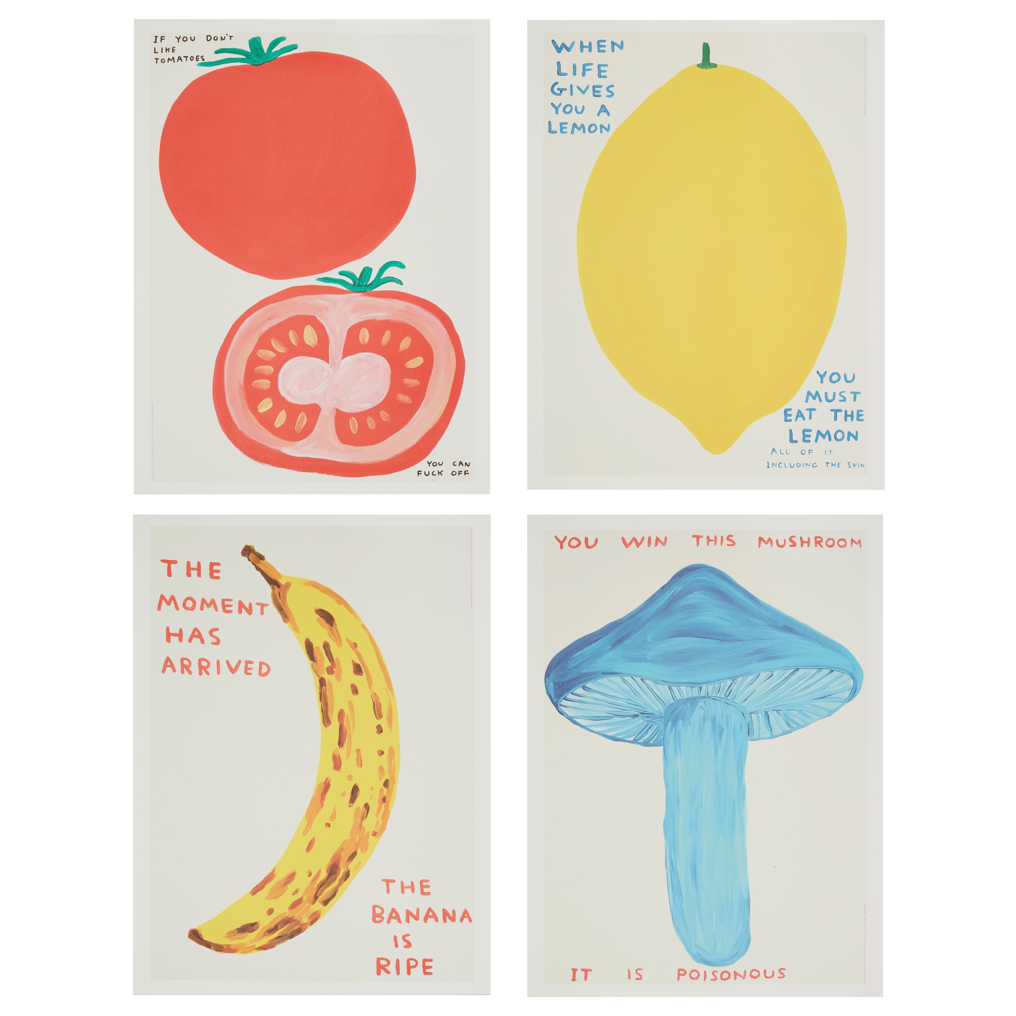 DAVID SHRIGLEY O.B.E. (BRITISH 1968-)