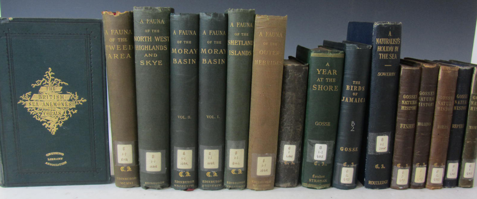 Natural History, including Gosse, P.H.