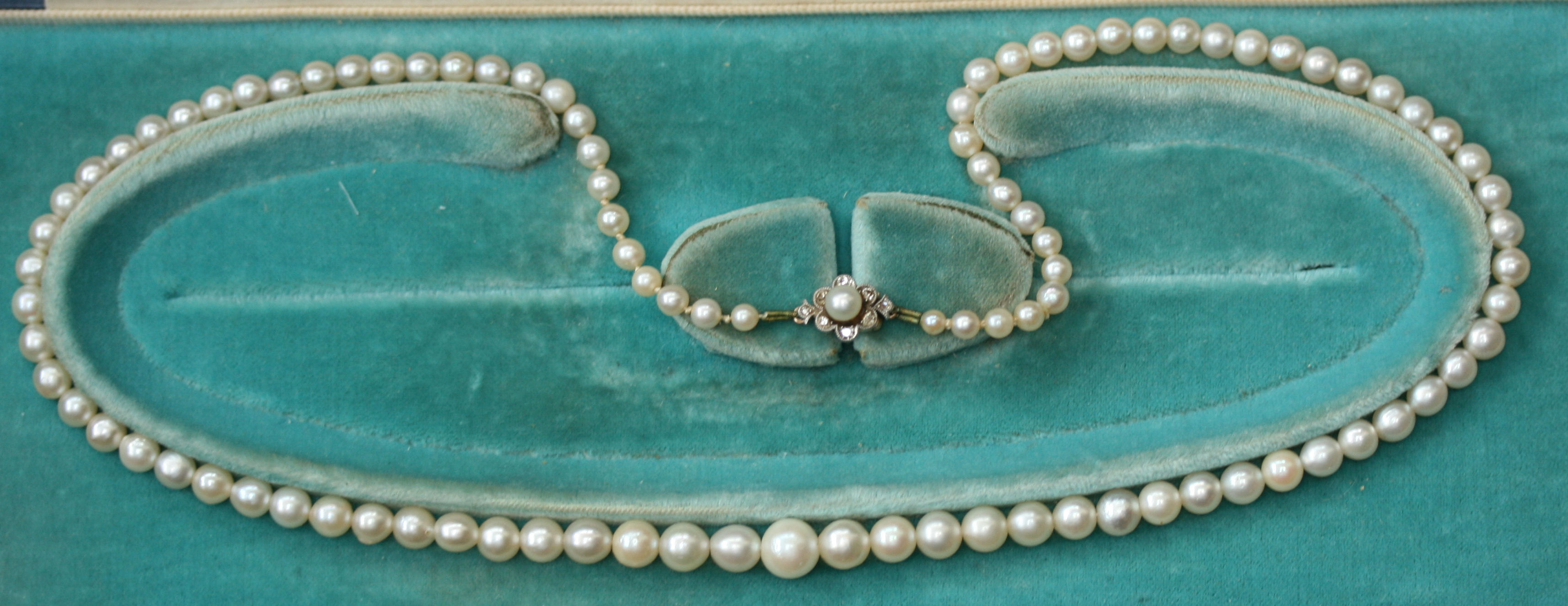 A single strand cultured pearls