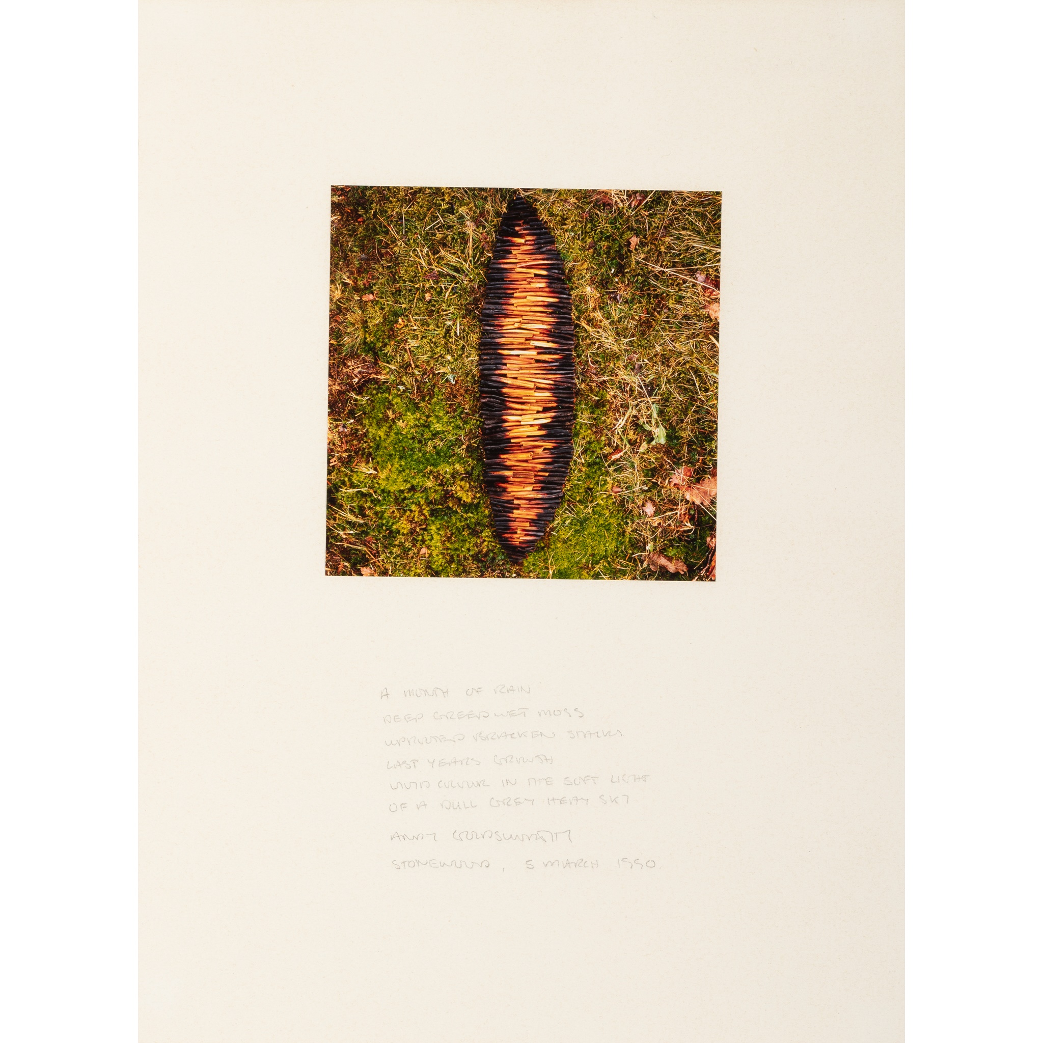 Andy Goldsworthy (British 1956-)