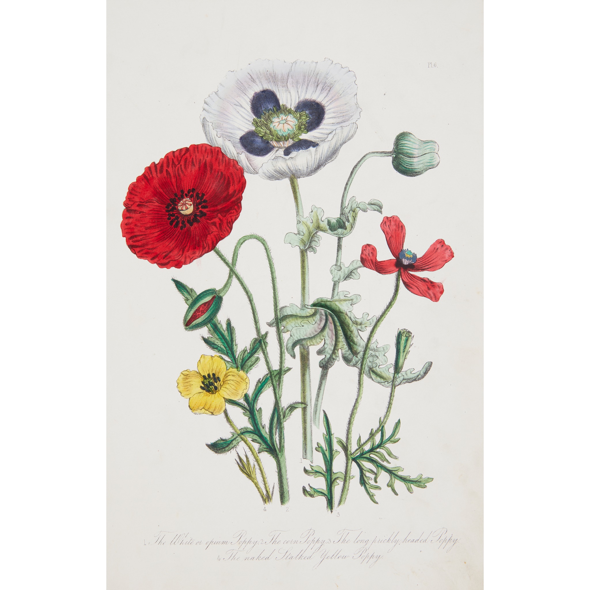 3 volumes, comprising
