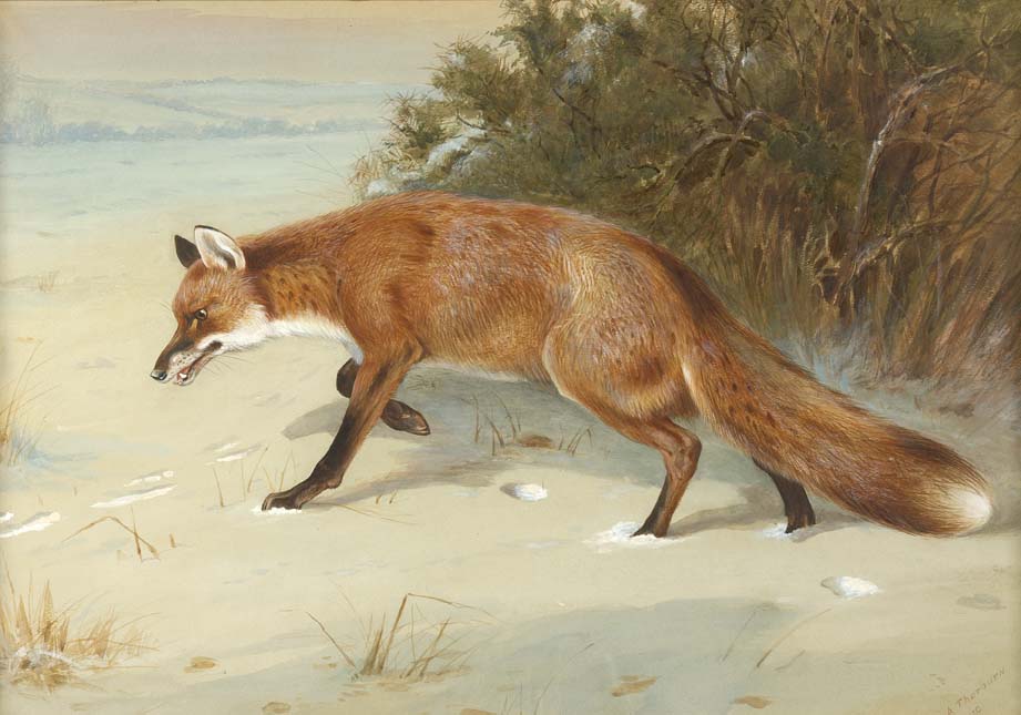 ARCHIBALD THORBURN (1860-1935)