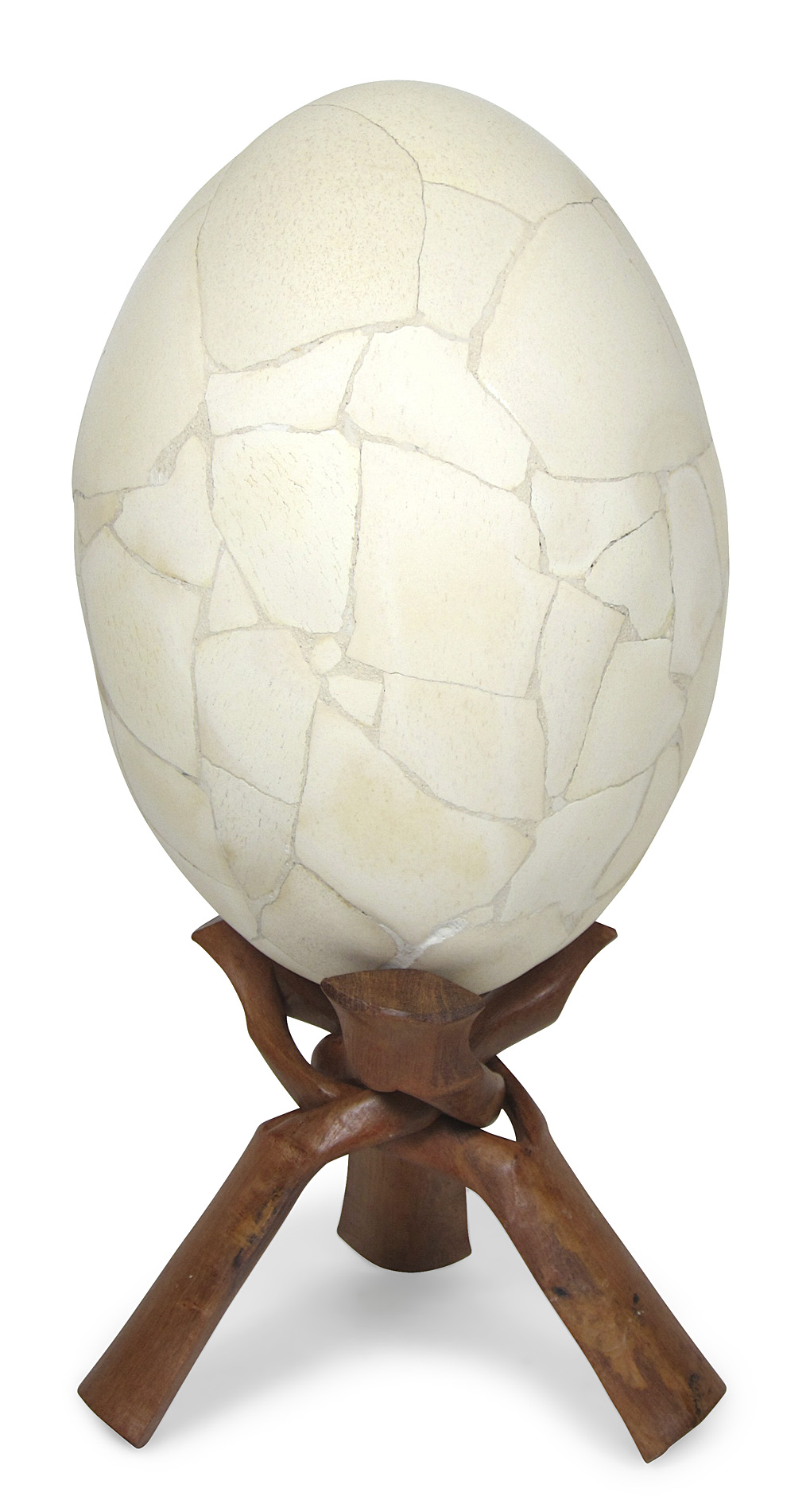 TAXIDERMY - REASSEMBLED ELEPHANT BIRD EGG