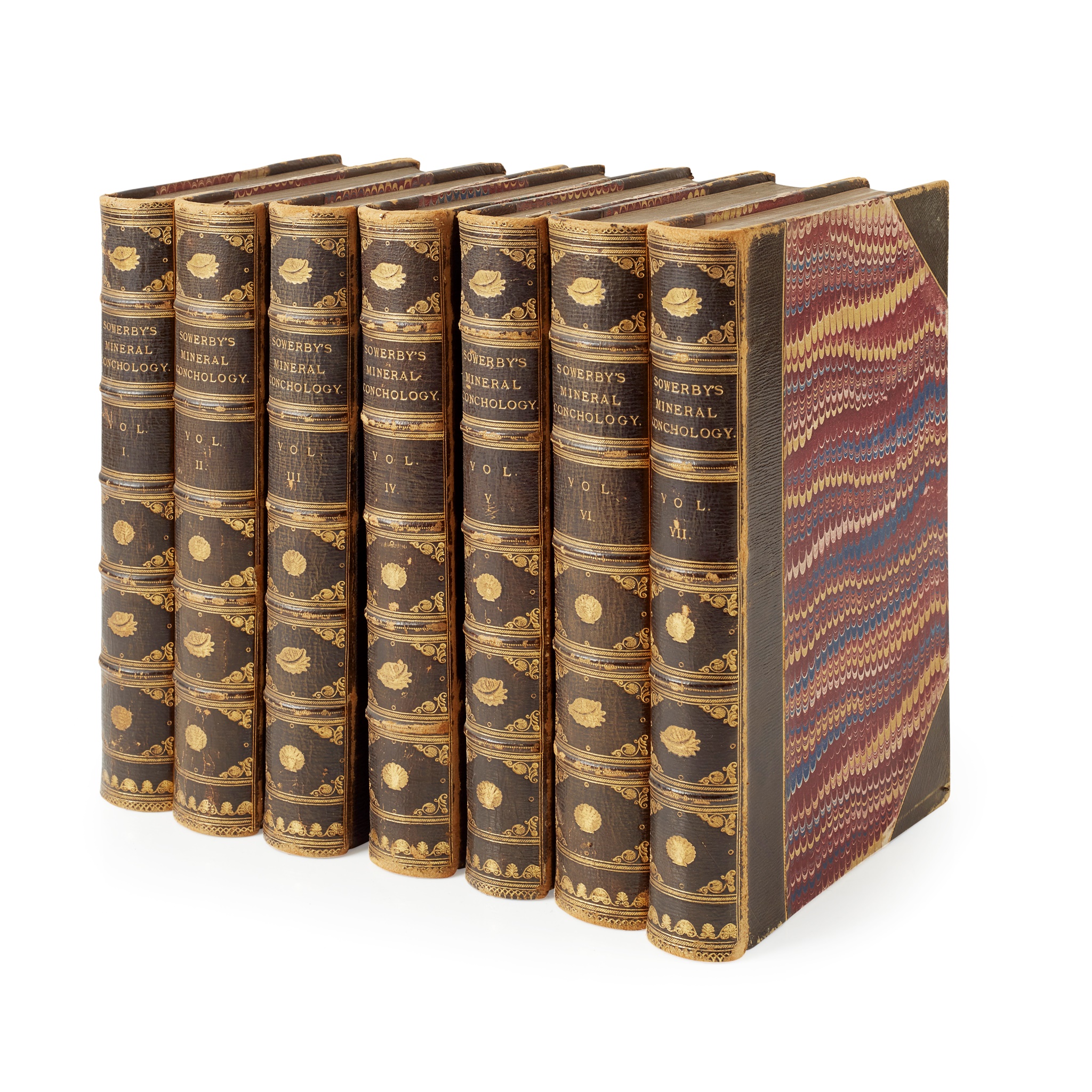 Sowerby, James, and James de Carle.